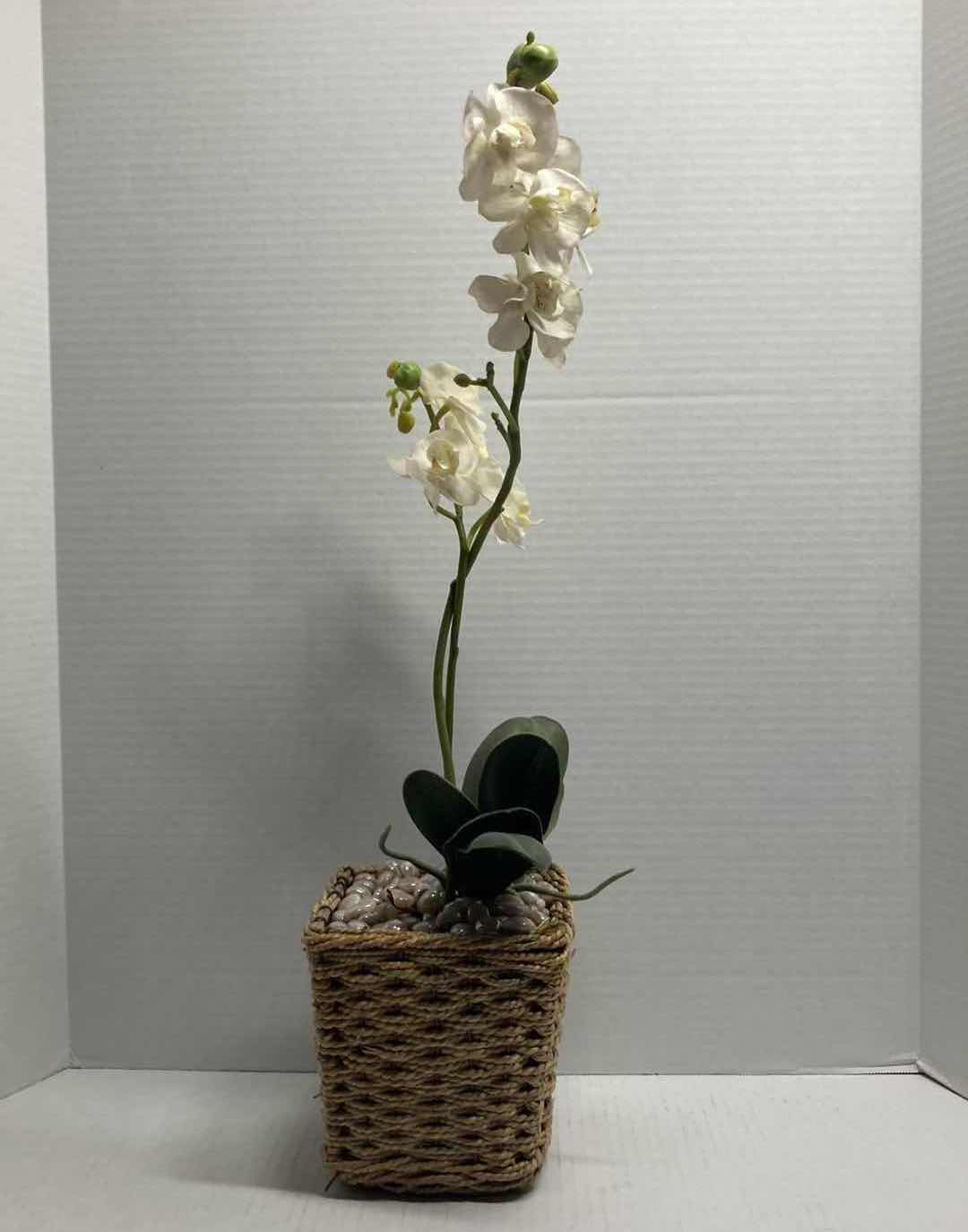 Photo 1 of MOTH ORCHID ARTIFICIAL DECORATIVE PLANT W WOVEN BASKET H24”