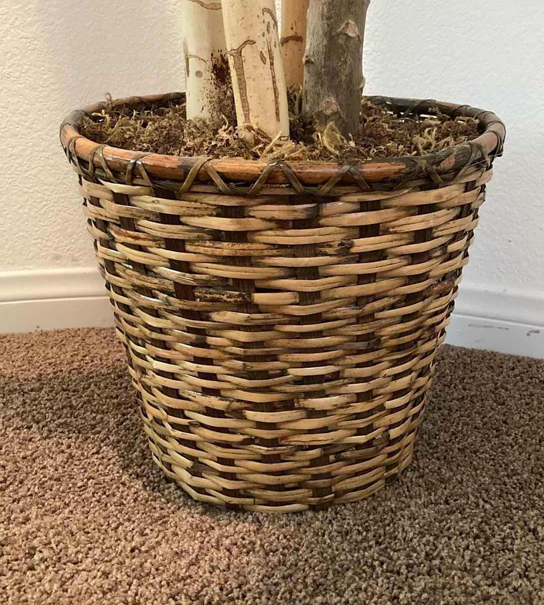 Photo 1 of BAMBOO ARTIFICIAL DECORATIVE TREE W RATTAN POT H72”