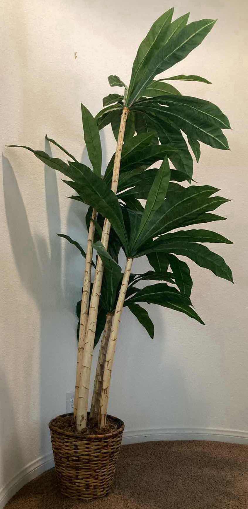 Photo 1 of BAMBOO ARTIFICIAL DECORATIVE TREE W RATTAN POT H72”