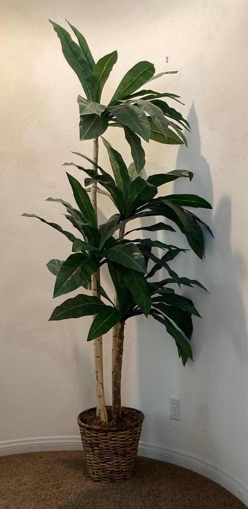 Photo 1 of BAMBOO ARTIFICIAL DECORATIVE TREE W RATTAN POT H72”