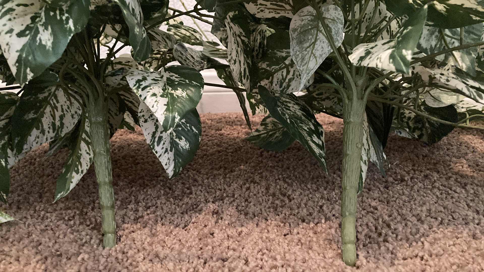 Photo 1 of POTHOS DECORATIVE ARTIFICIAL BUSH (2)