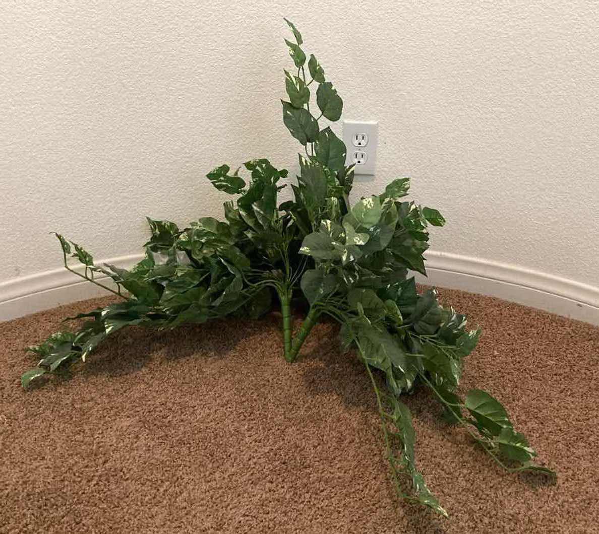 Photo 1 of POTHOS DECORATIVE ARTIFICIAL BRUSH (2)