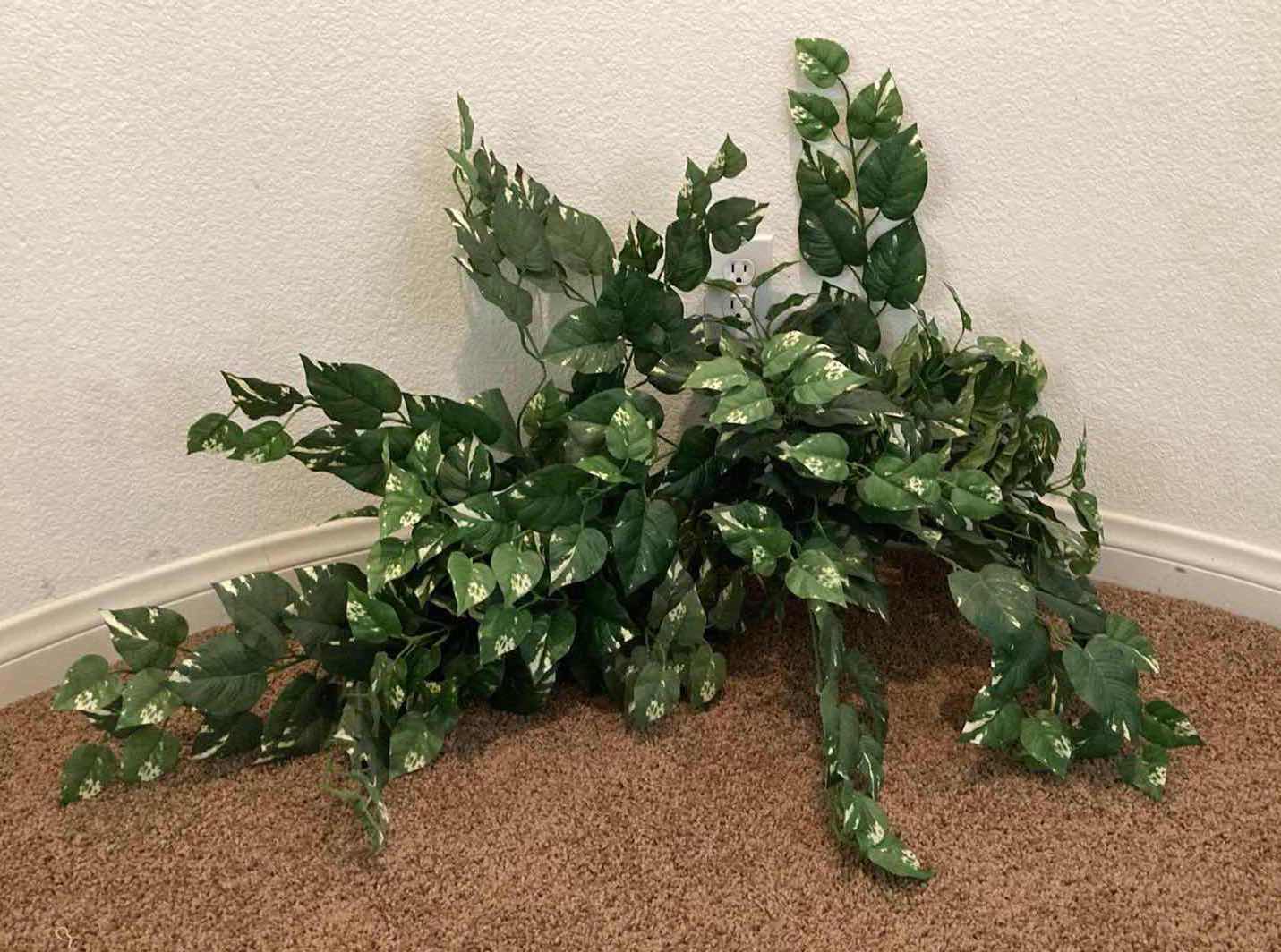 Photo 1 of POTHOS DECORATIVE ARTIFICIAL BRUSH (2)