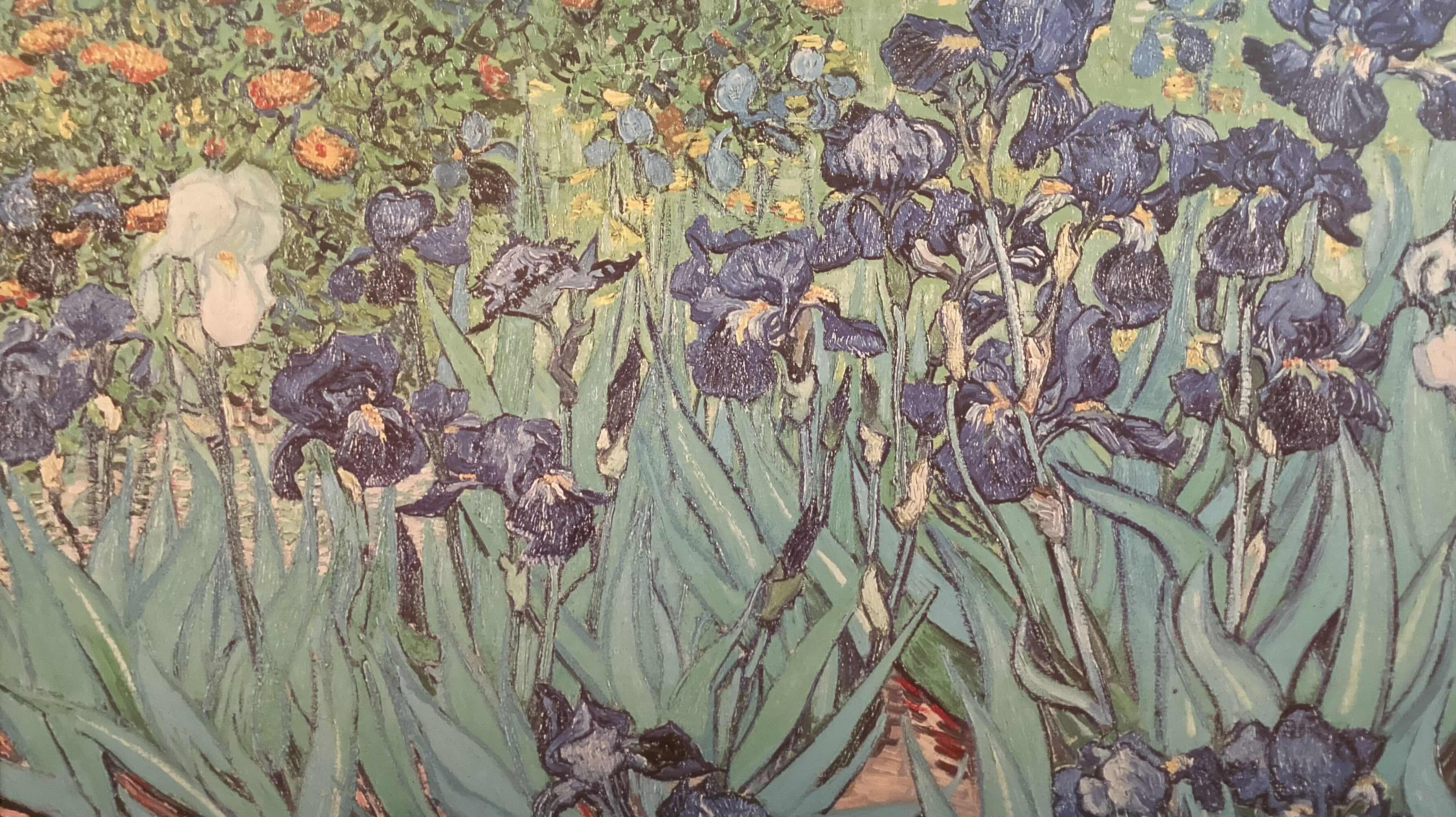 Photo 1 of IRISES PAINTING BY VAN GOGH FRAMED REPRINT ARTWORK 39” X 26”