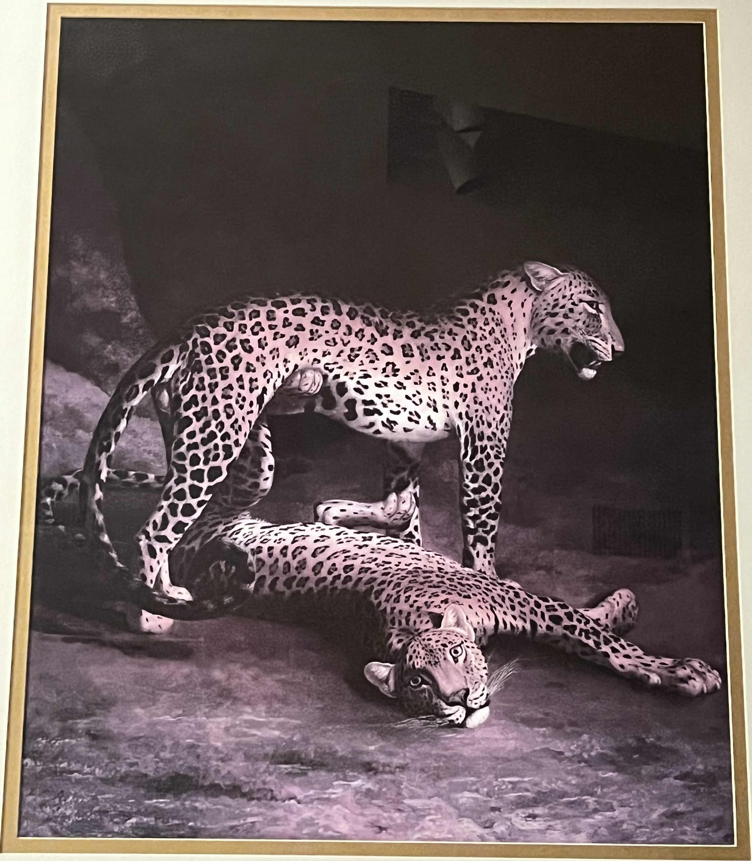 Photo 2 of TWO LEOPARDS LYING IN THE EXTER EXCHANGE FRAMED ARTWORK BY JACQUES LAURENT AGASSE 33.25” X 39.5”


Two Leopards Lying In The Exeter Exchange by Jacques-Laurent Agasse