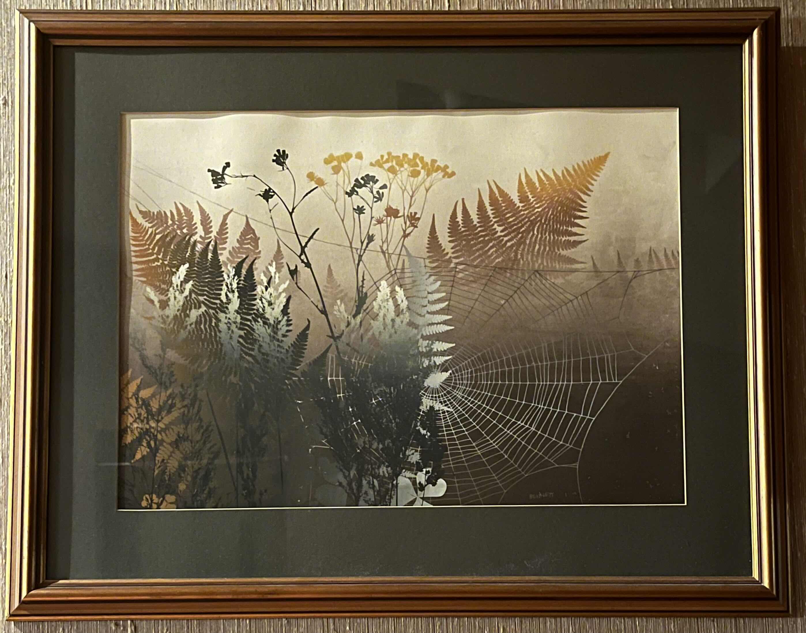 Photo 1 of THE WEB FRAMED ARTWORK SIGNED BY ELTON BENNET 31” X 24.5”