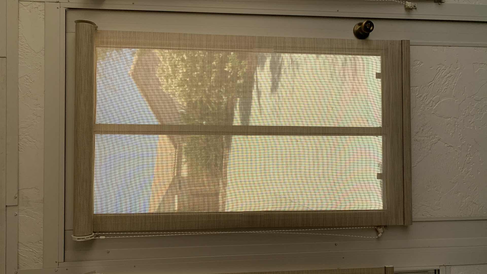 Photo 1 of SIX TEMPORARY WINDOW SHADES