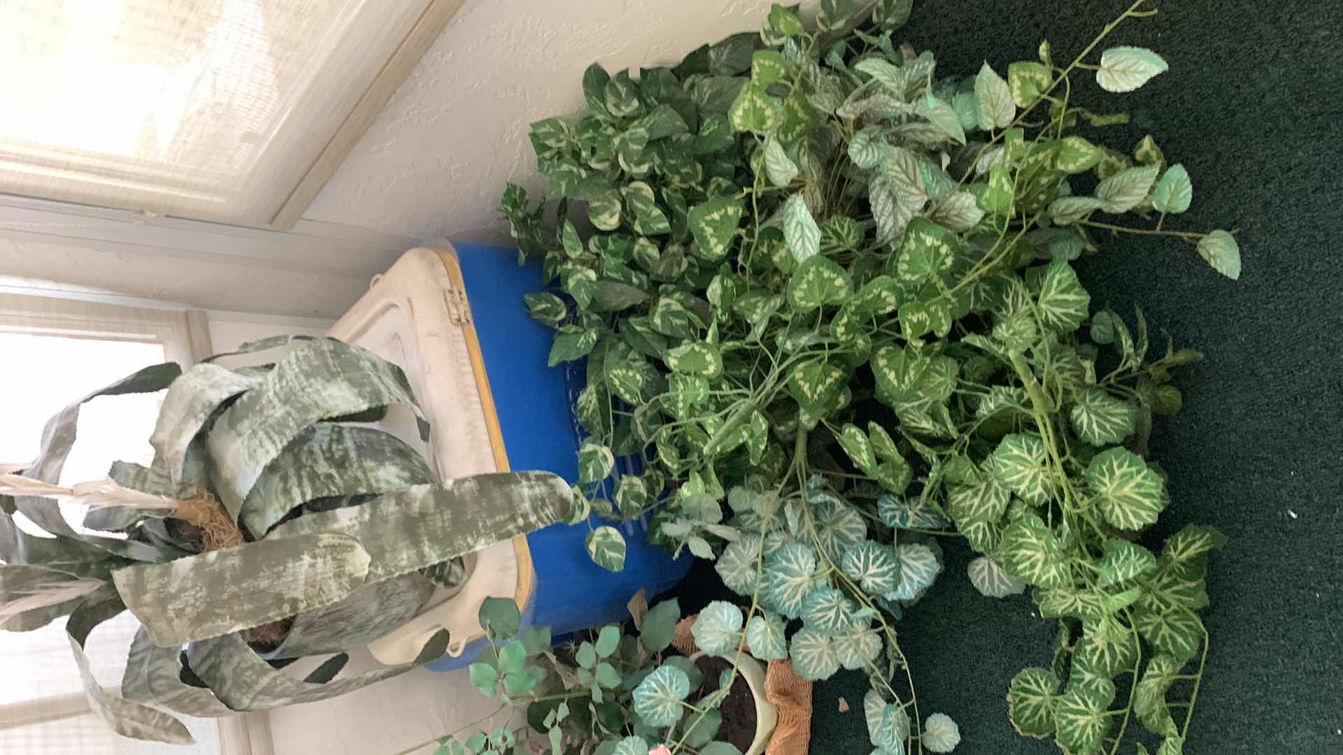 Photo 1 of FAUX PLANTS AND IGLOO ICE CHEST