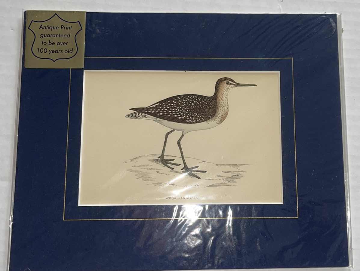 Photo 1 of ANTIQUE 1870 PRINT “WOOD SANDPIPER” REVEREND FRANCIS O. MORRIS CERTIFICATE OF AUTHENTICITY 1870 10”x8”H