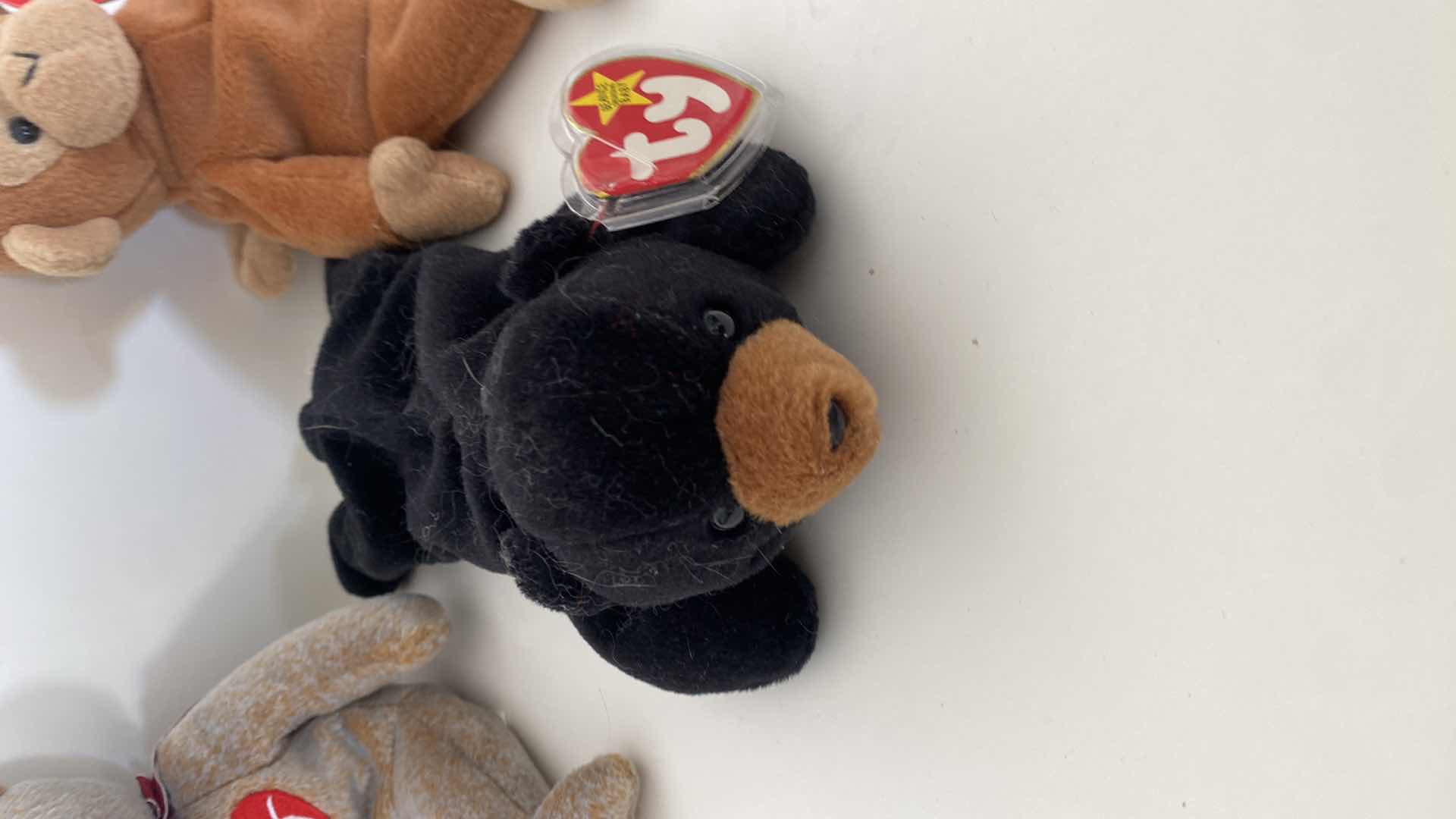 Photo 4 of VINTAGE BEANIE BABIES