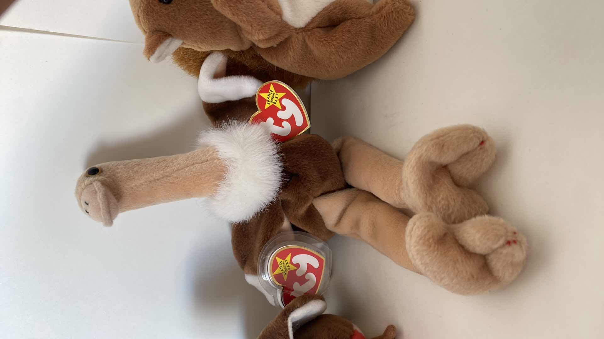 Photo 2 of VINTAGE BEANIE BABIES