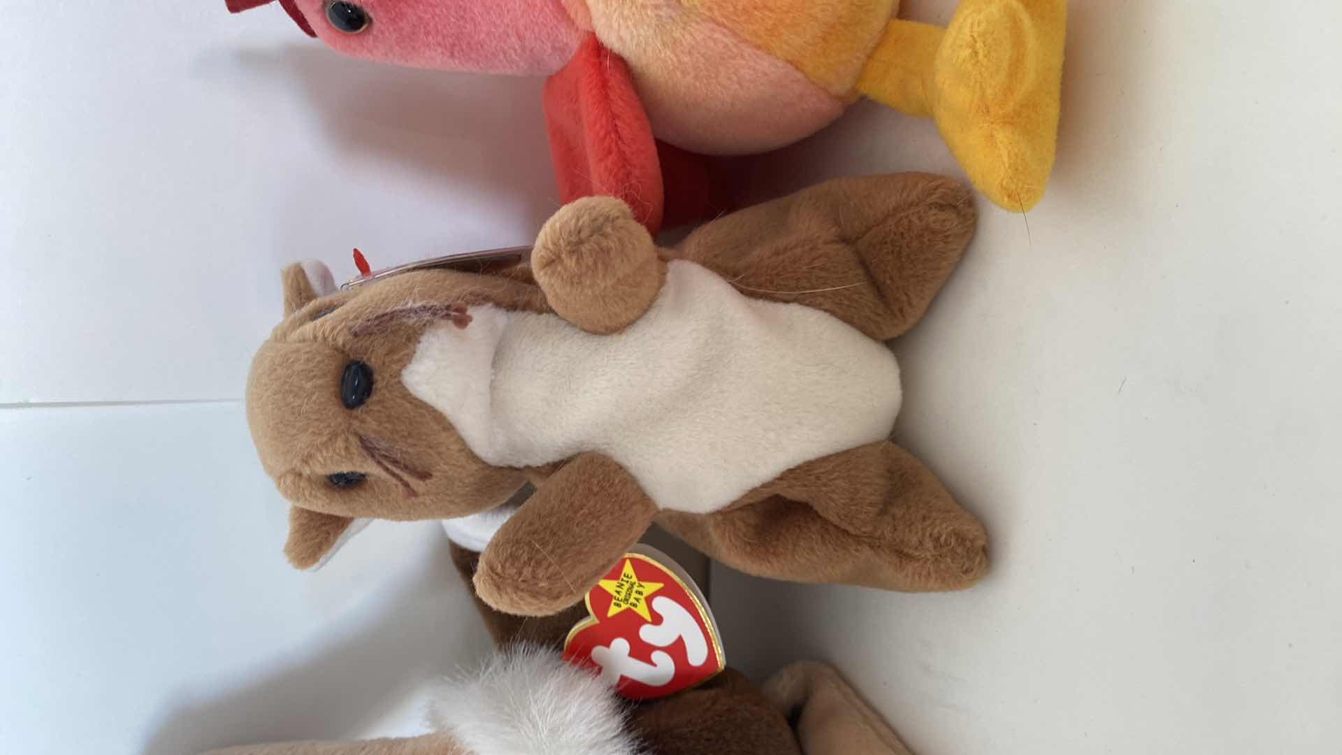 Photo 3 of VINTAGE BEANIE BABIES