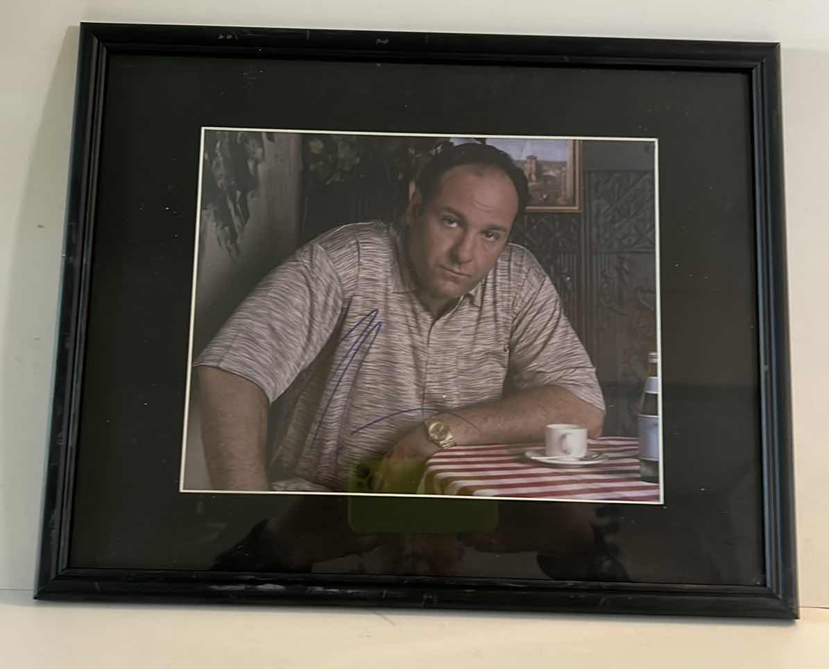 Photo 1 of AUTHENTIC SIGNED “JAMES GANDOLFINI” 8” x 10” PHOTO FRAMED WITH COA