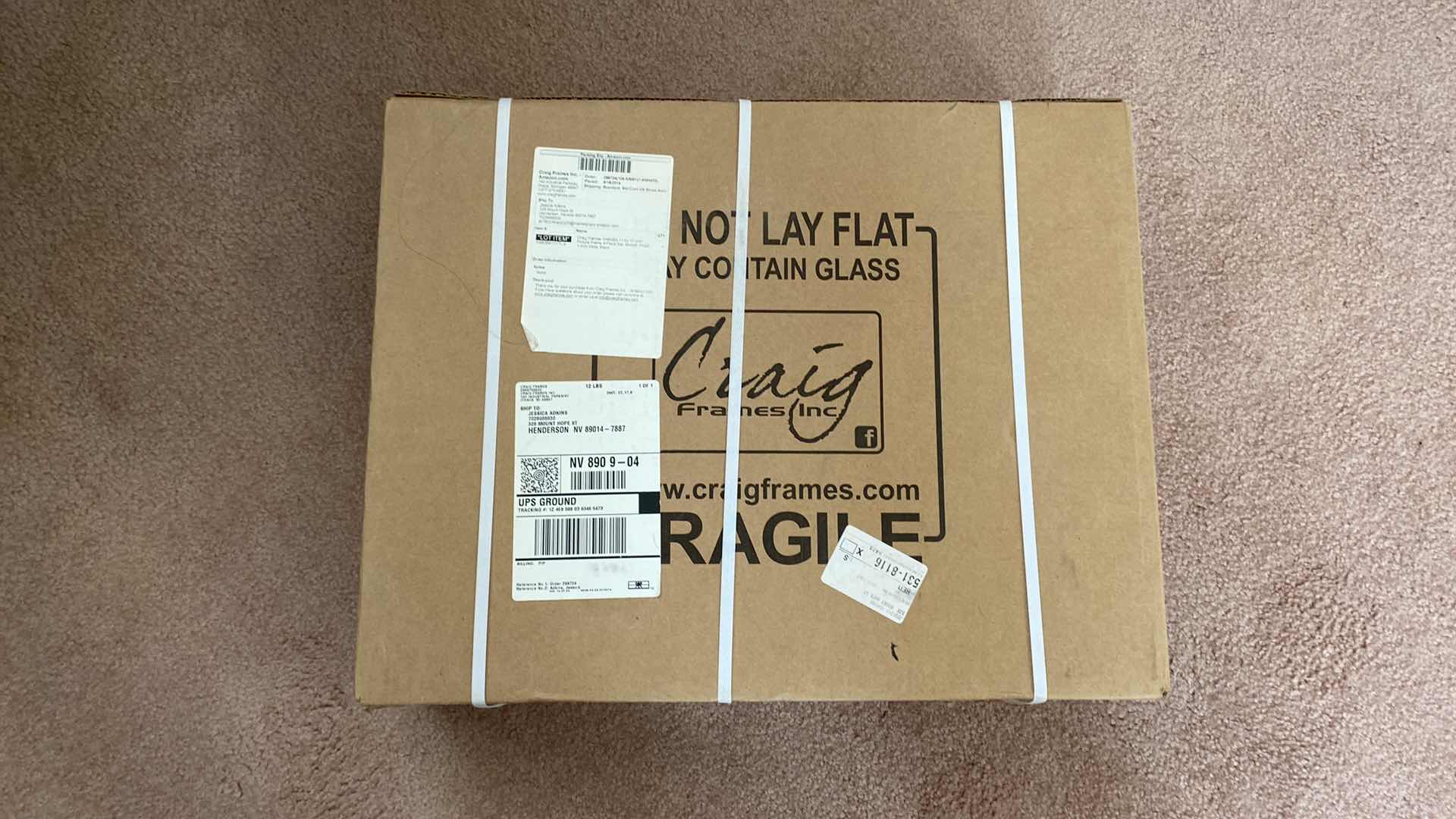 Photo 3 of CRAIGS FRAMES 4 PACK NEW IN BOX 11” X 17”