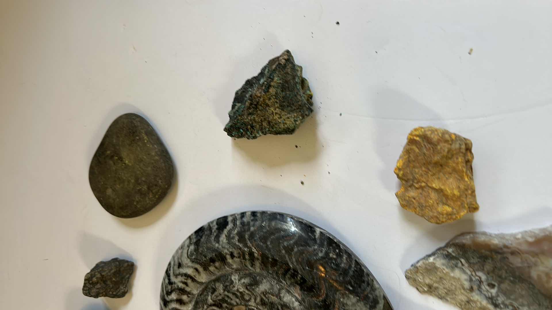 Photo 7 of STONE, SHELL AND FOSSIL ASSORTMENT