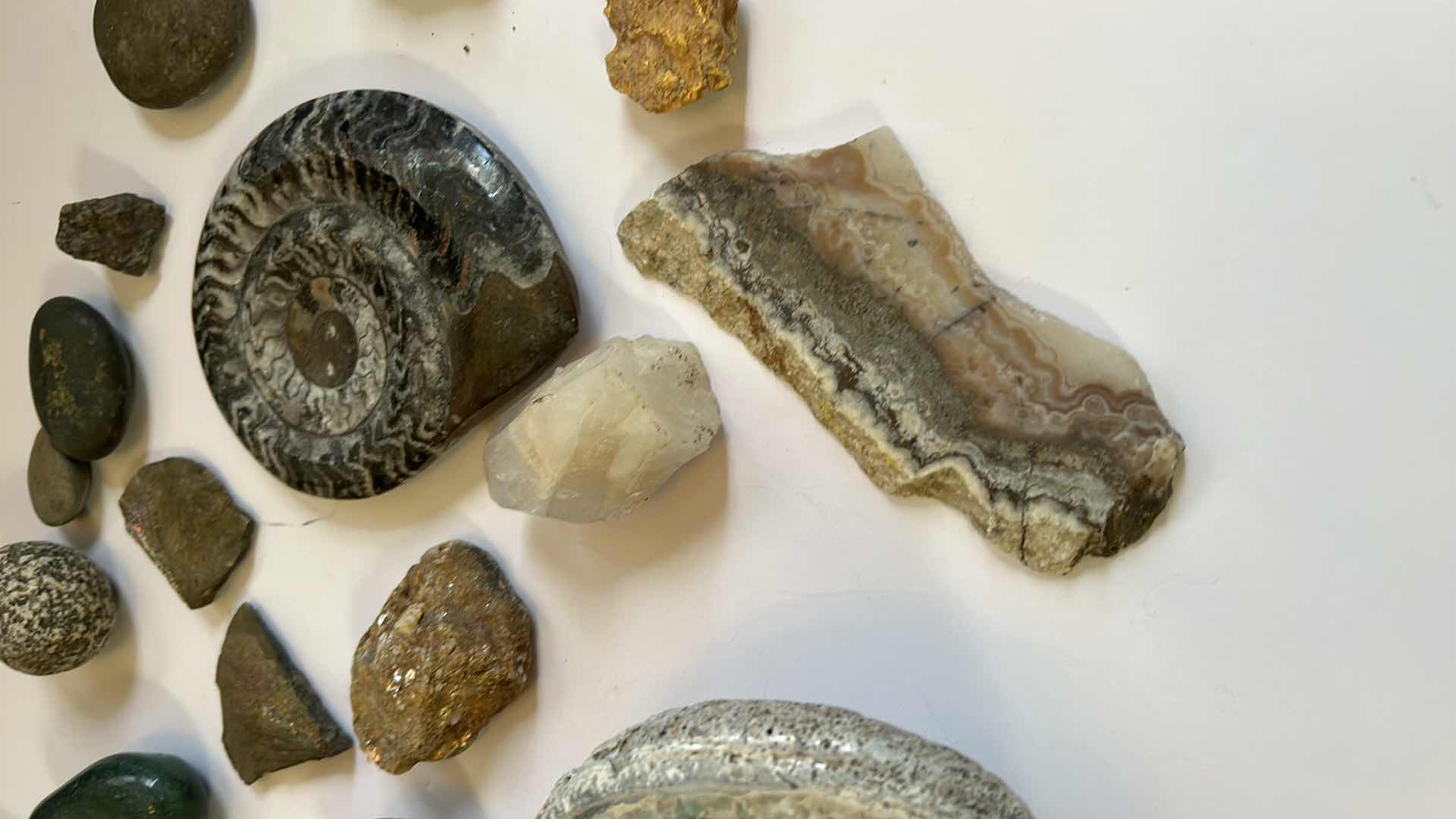 Photo 8 of STONE, SHELL AND FOSSIL ASSORTMENT