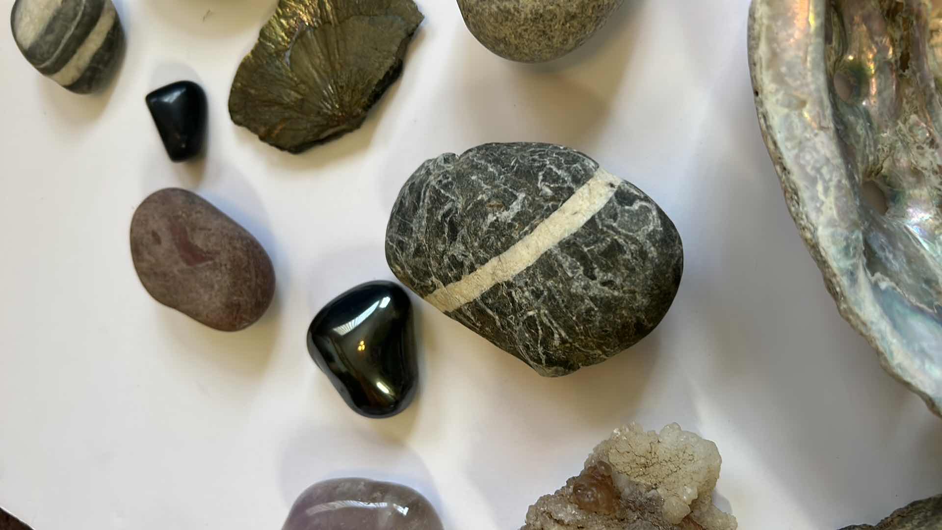 Photo 3 of STONE, SHELL AND FOSSIL ASSORTMENT
