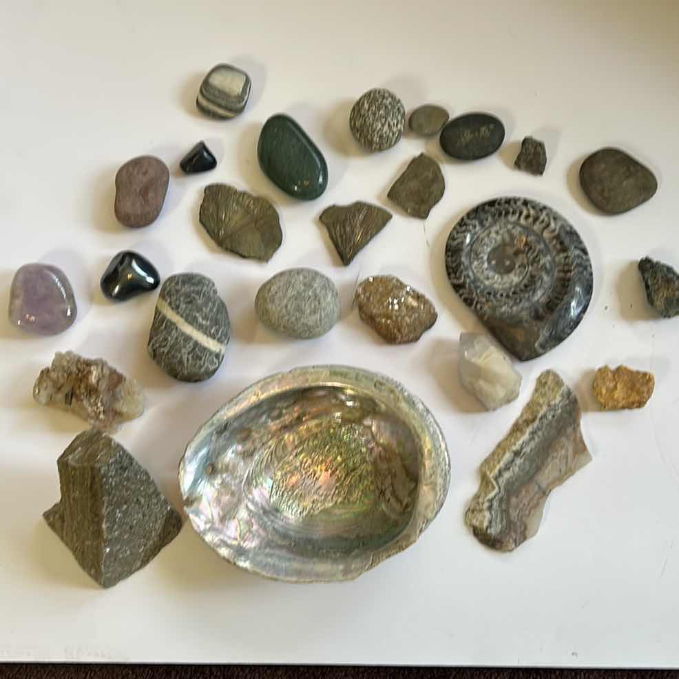 Photo 1 of STONE, SHELL AND FOSSIL ASSORTMENT