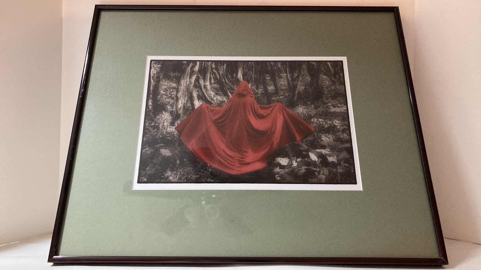 Photo 1 of CLOAK OF MISERY FRAMED PHOTOGRAPH BY HAILY PARSONS 20.5” X 16.5”