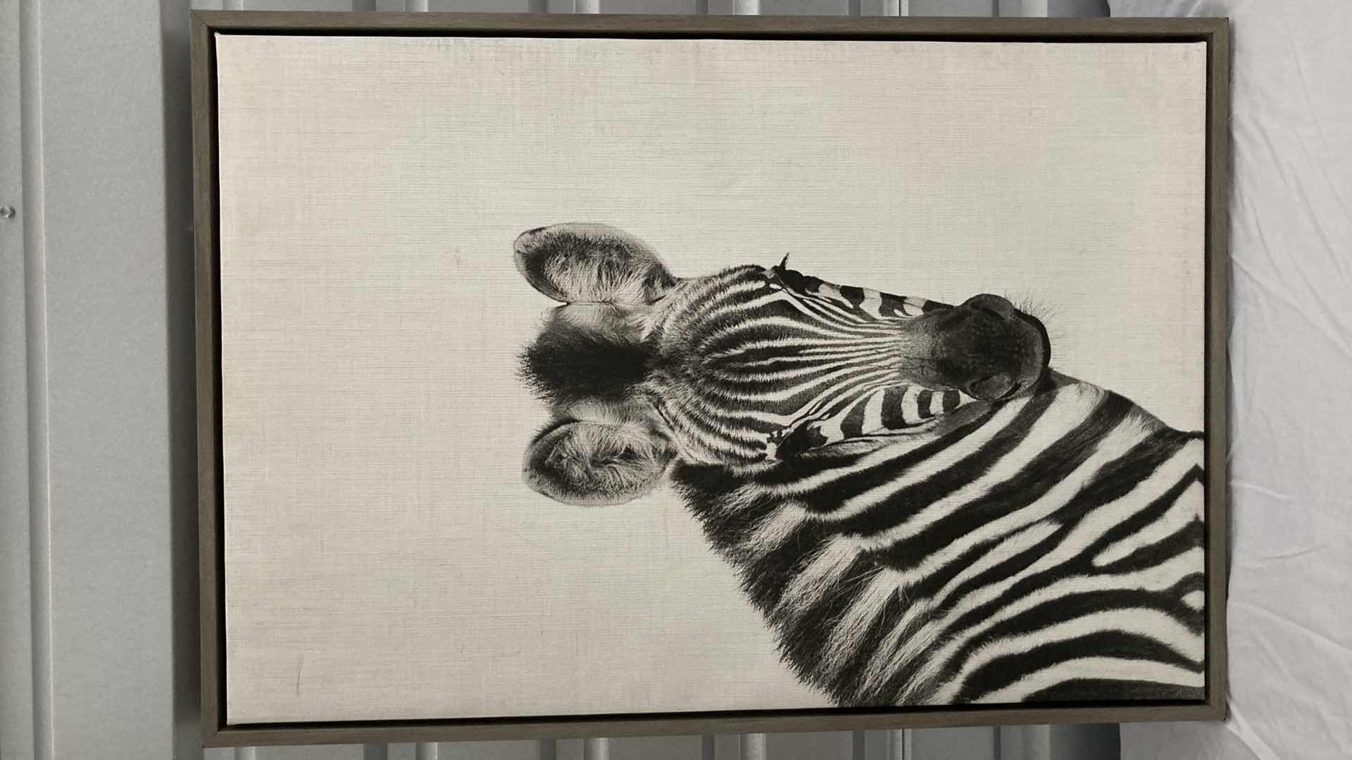 Photo 1 of UNIEK TAI PRINTS ZEBRA FRAMED CANVAS ARTWORK 23” X 33”