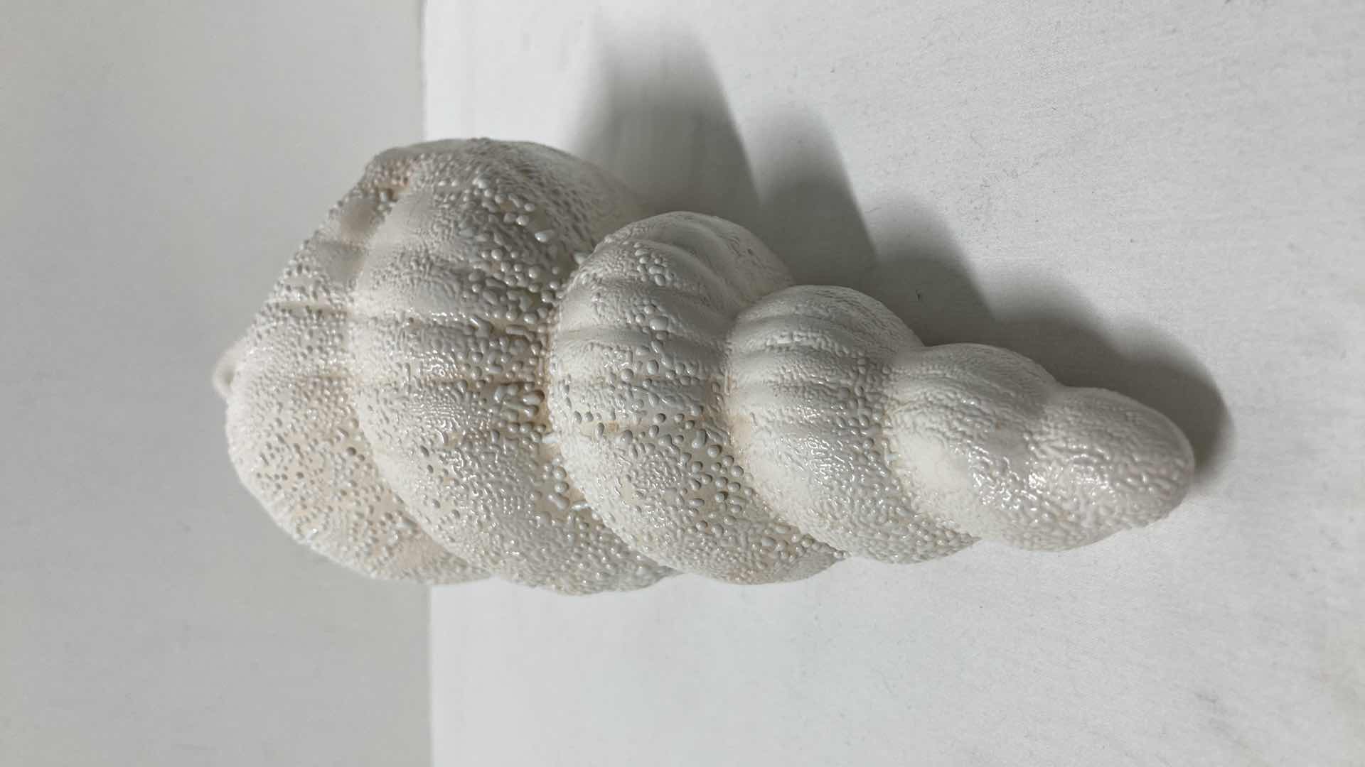 Photo 2 of SEASHELL CERAMIC DECOR 16” X 5” H5”