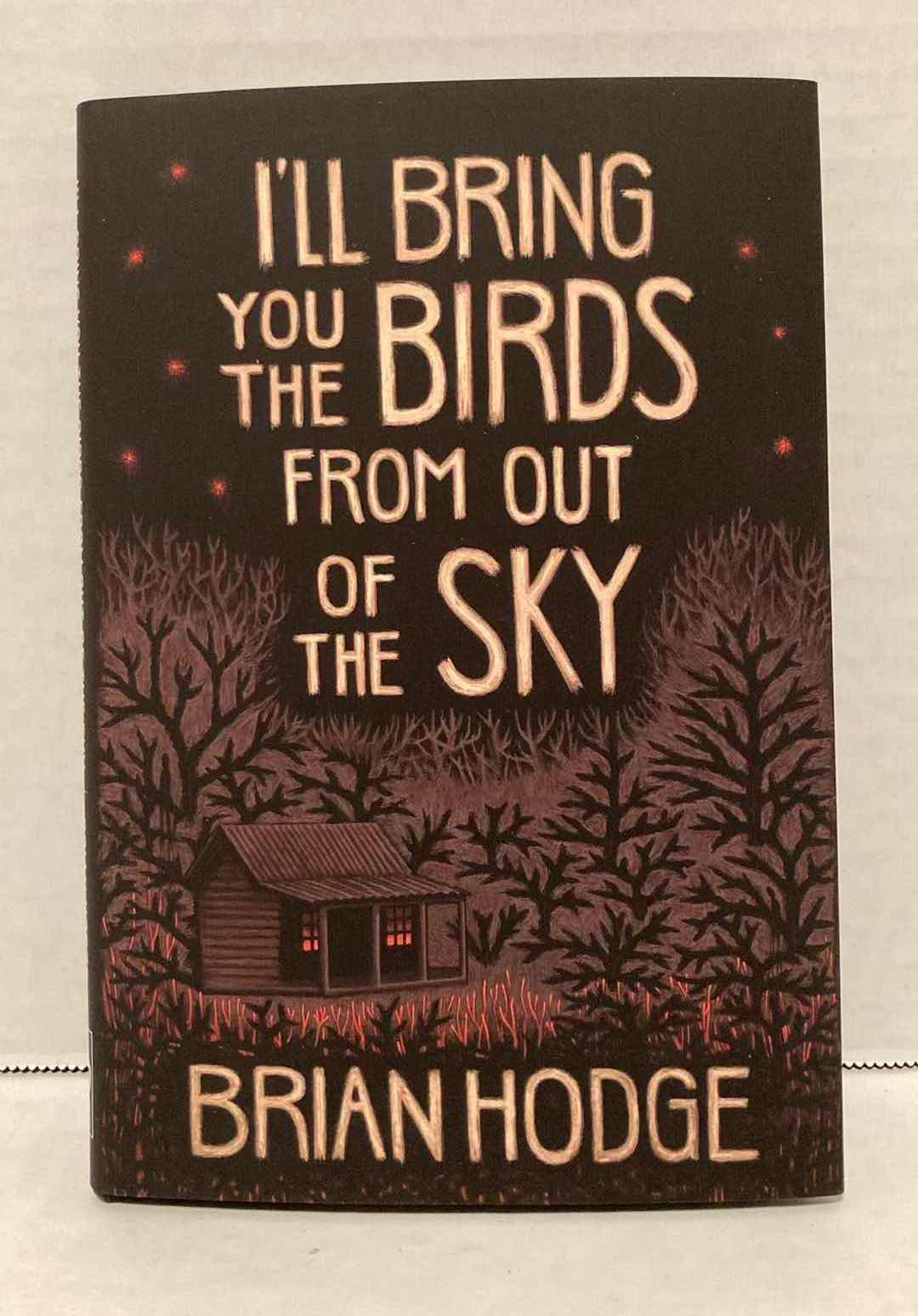 Photo 1 of BRIAN HODGE - I’LL BRING YOU THE BIRDS FROM OUT OF THE SKY BOOK SIGNED BY BRIAN HODGE