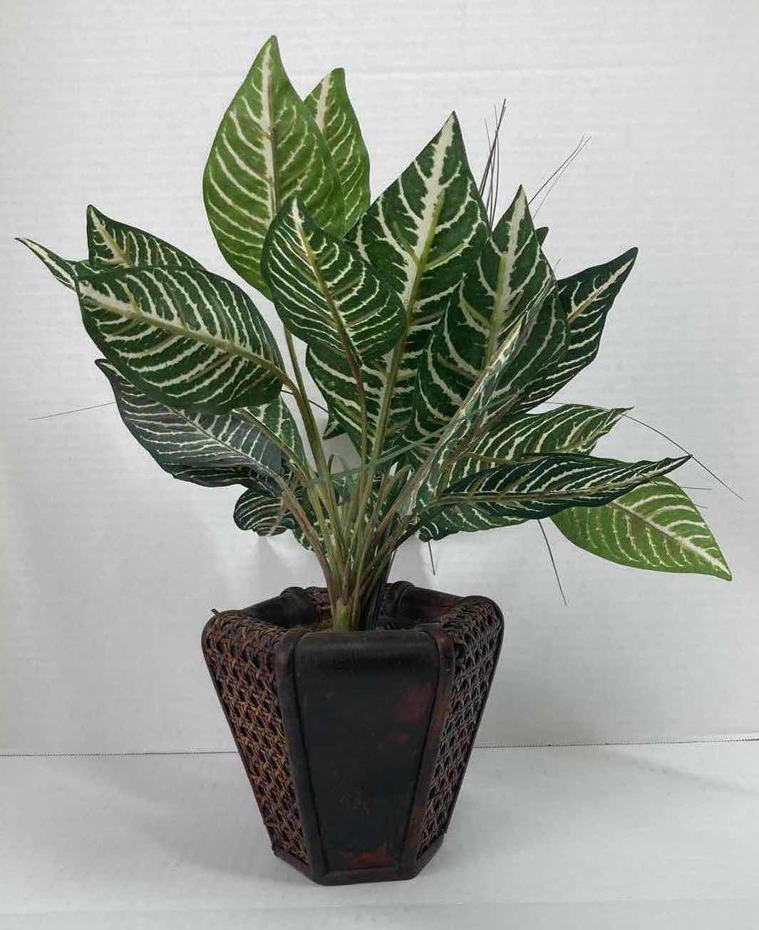 Photo 2 of ZEBRA-PLANT ARTIFICIAL PLANT DECORATION H16”