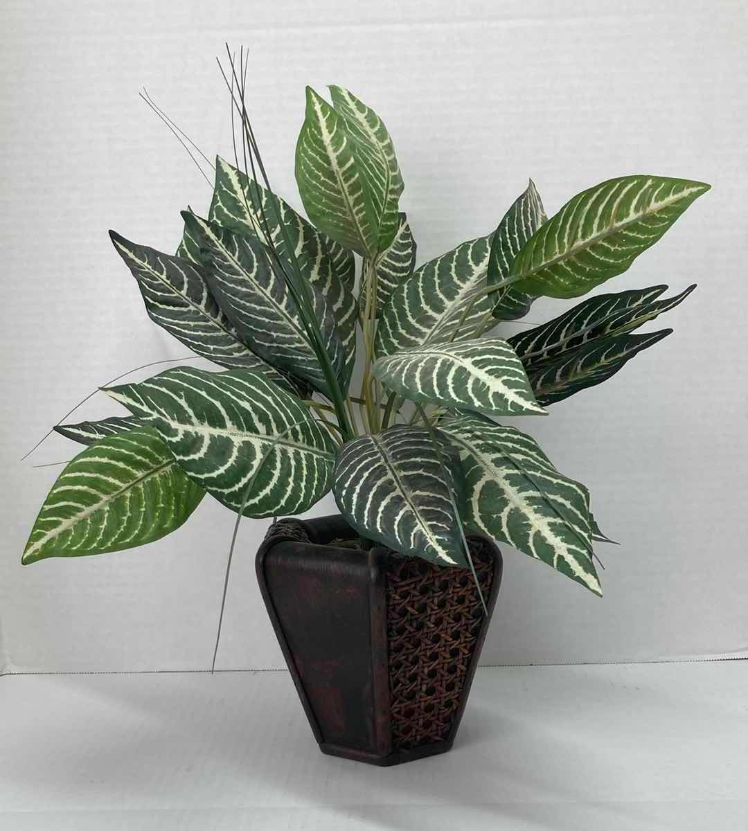 Photo 1 of ZEBRA-PLANT ARTIFICIAL PLANT DECORATION H16”