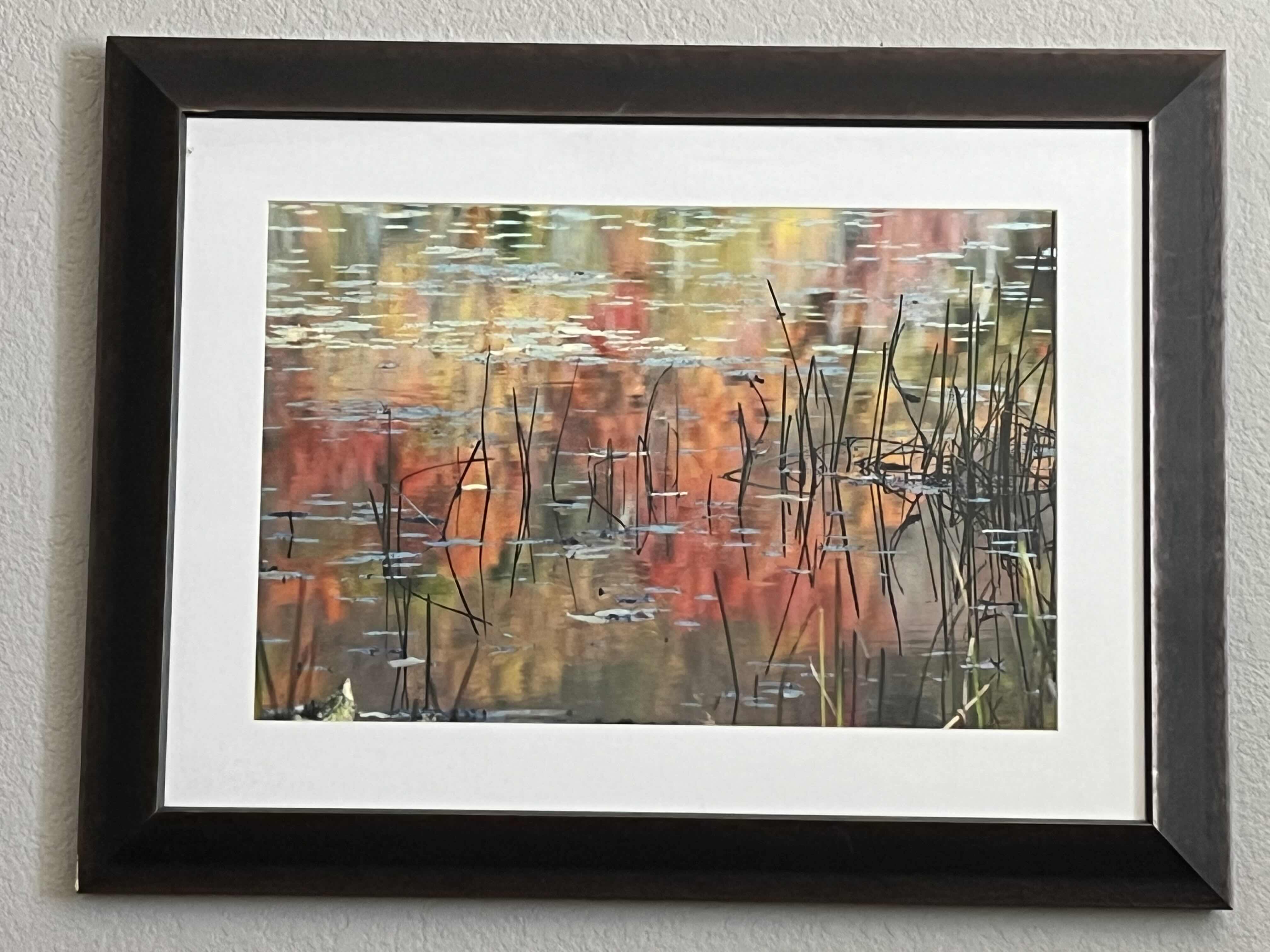 Photo 1 of POND PHOTOGRAPH FRAMED ARTWORK 33.5” X 25.5”