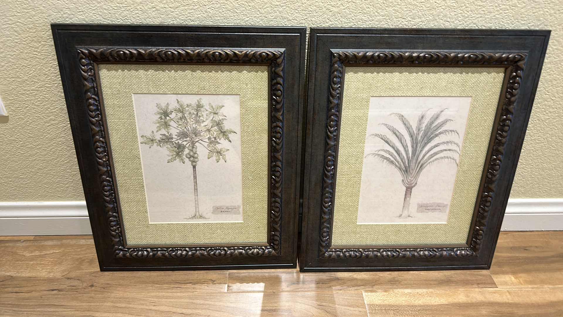 Photo 5 of 2 MADIGASCAR PALM TREE FRAMED ARTWORK 15 1/4” x 18 1/4"