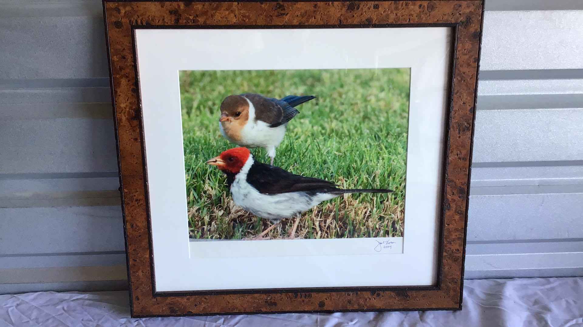 Photo 1 of BEAUTIFUL PHOTOGRAPH AND FRAME 2 BIRDS IN GRASS 22” X 20”