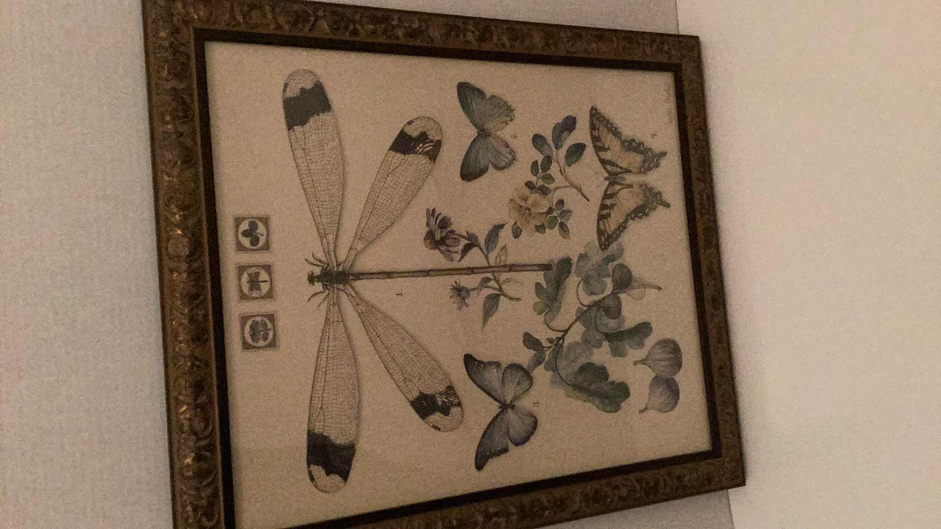 Photo 1 of HOME INTERIORS FRAMED BUTTERFLY AND DRAGONFLY PRINT 24” X H 28”