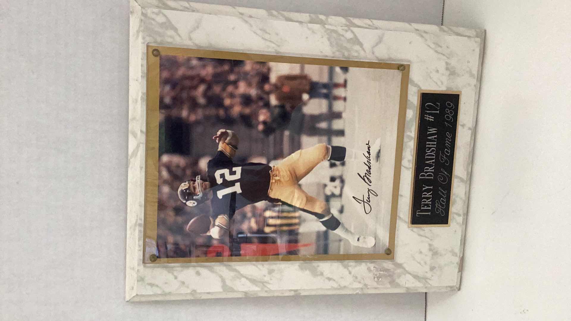 Photo 1 of TERRY BRADSHAW AUTOGRAPHED PICTURE 1989 HALL OF FAME 12” X H 15”
