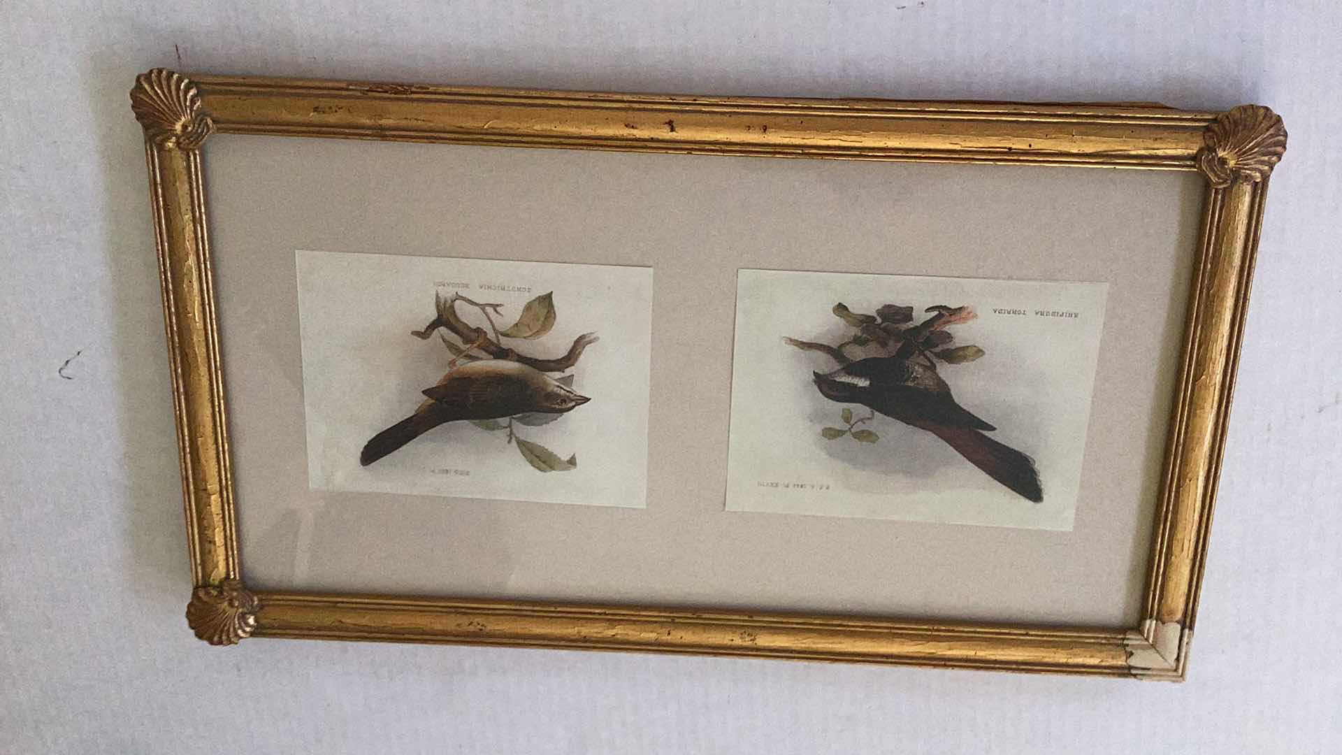 Photo 1 of VINTAGE 1865 BIRD PRINTS 21” X H 12”