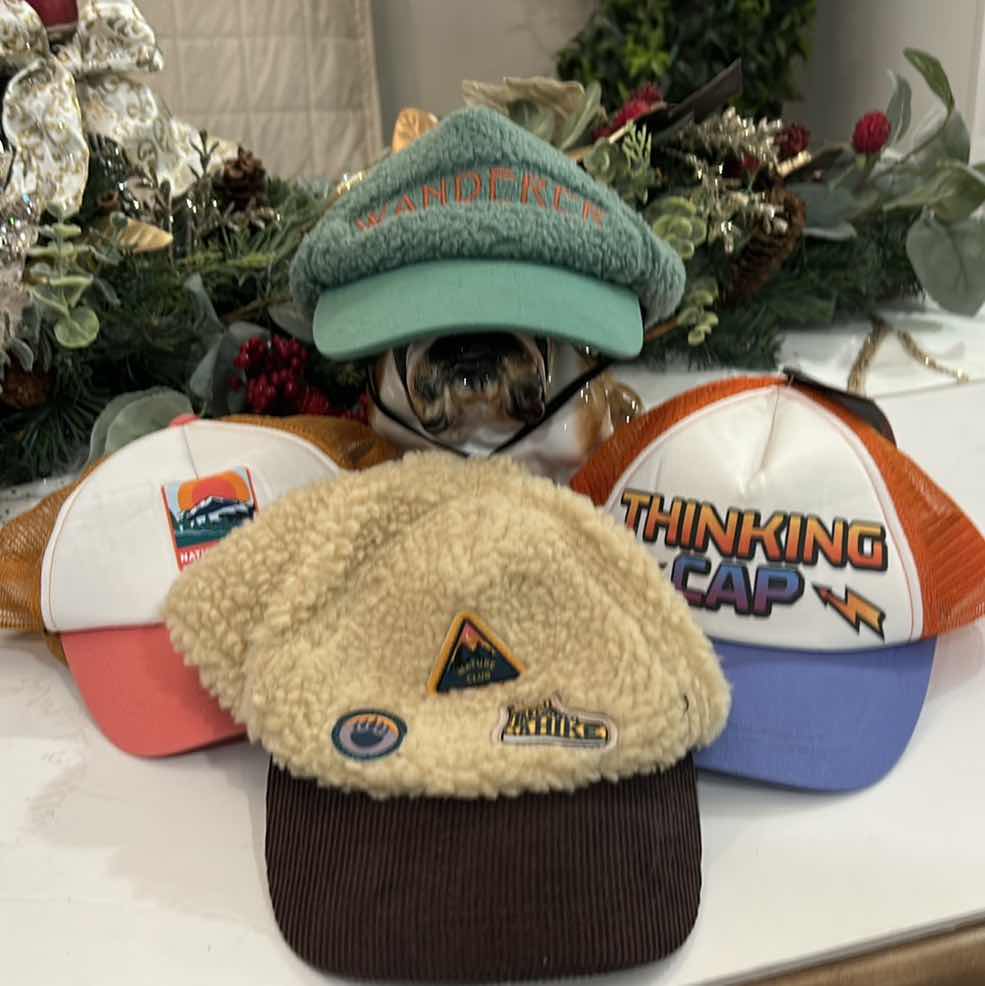 Photo 1 of 4 DOG CAPS / HATS