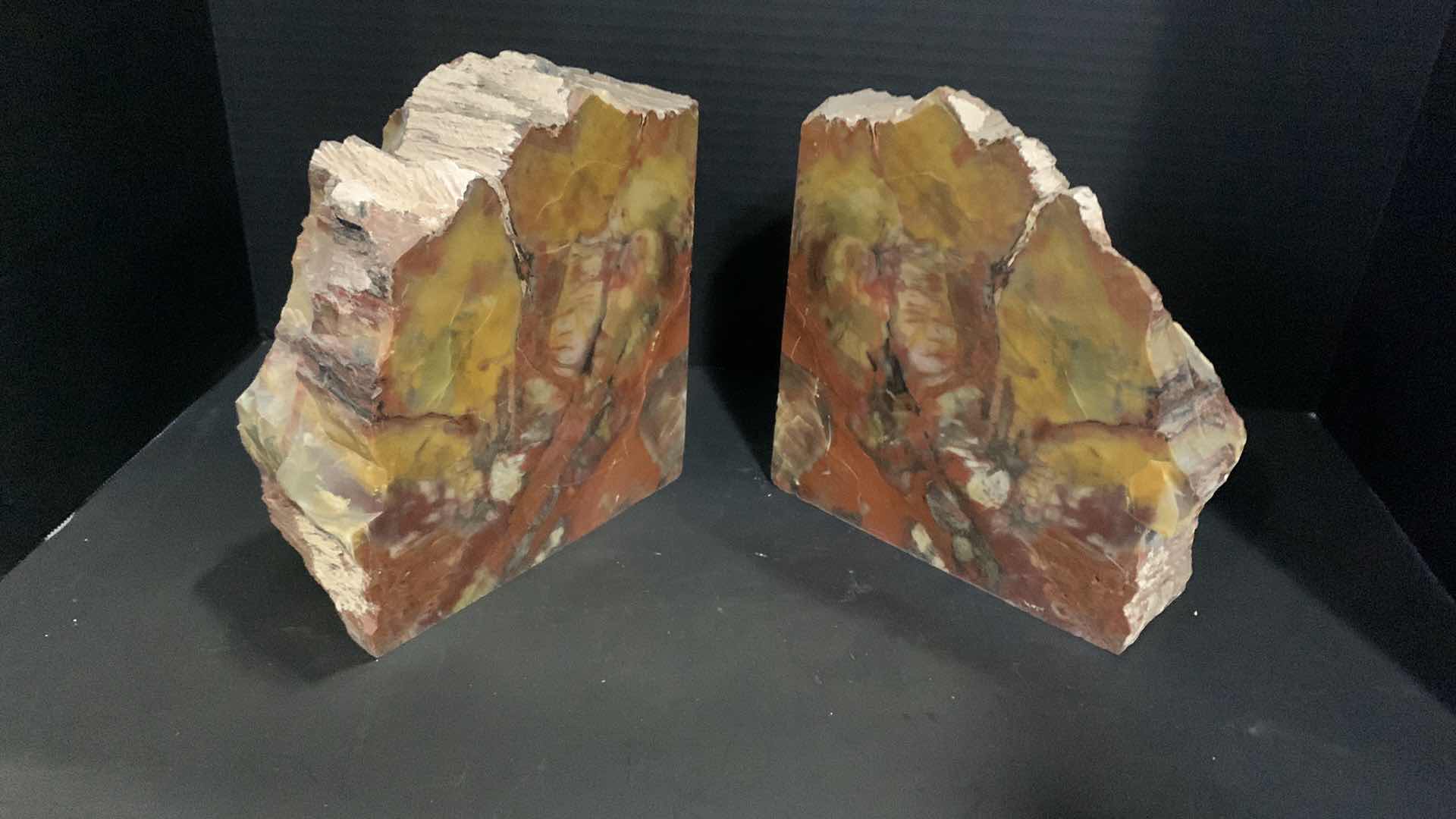 Photo 1 of PETRIFIED WOOD BOOKENDS