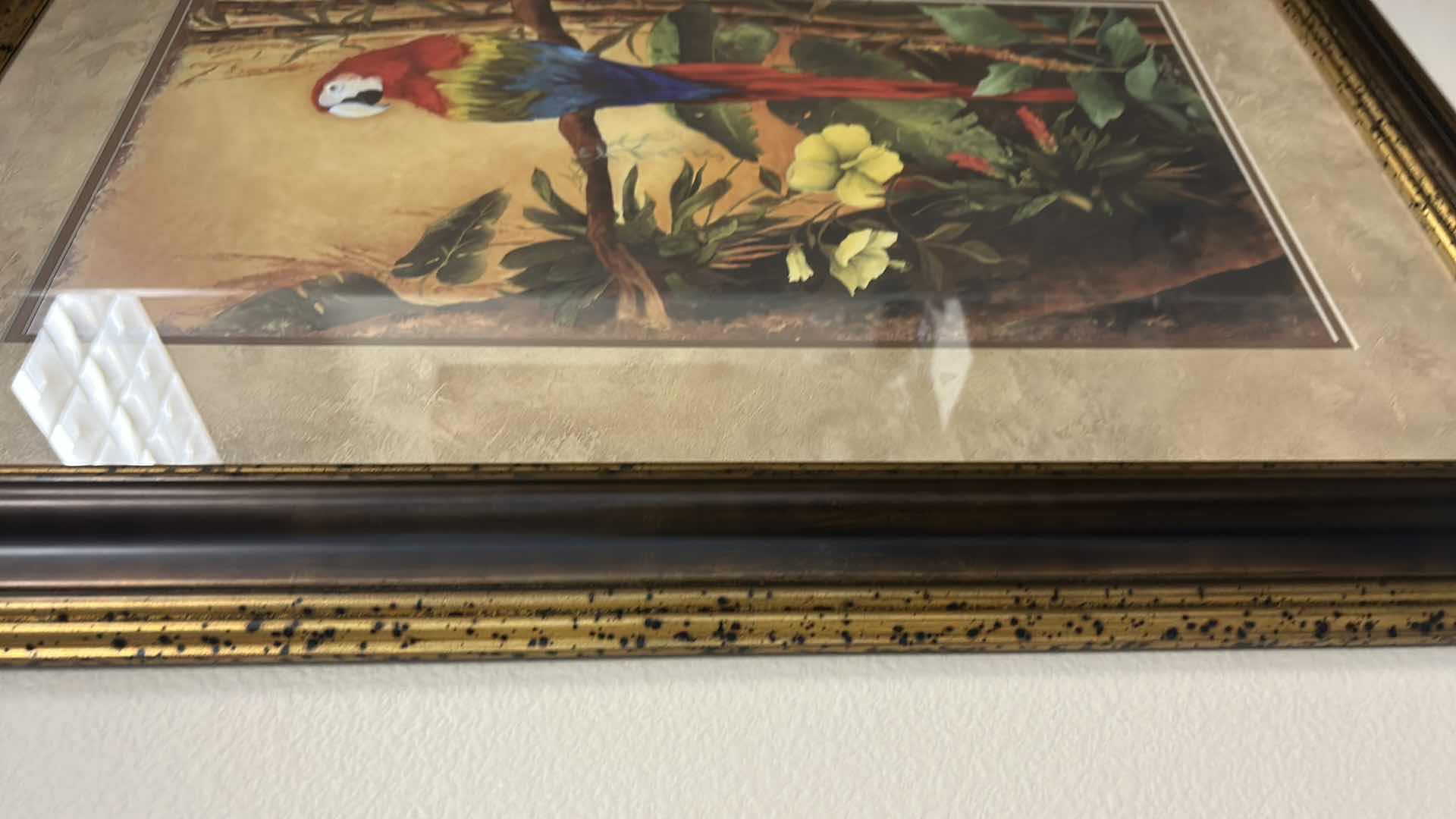 Photo 3 of WOOD FRAMED (PARROT TROPICAL) ARTWORK 24” x 36”
