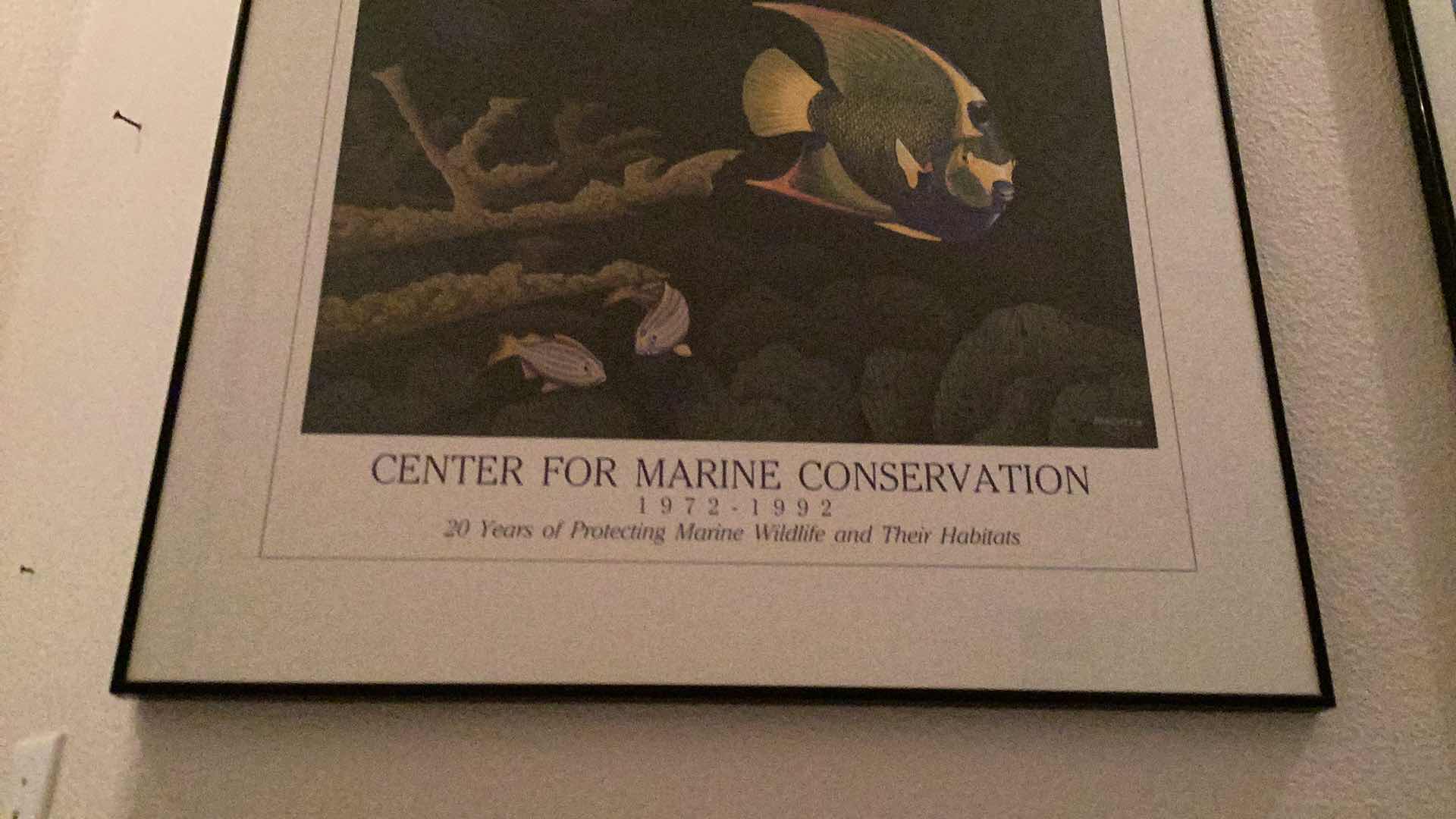 Photo 3 of CENTER FOR MARINE CONSERVATION 20 YEAR ANNIVERSARY FRAMED PRINT 26x25