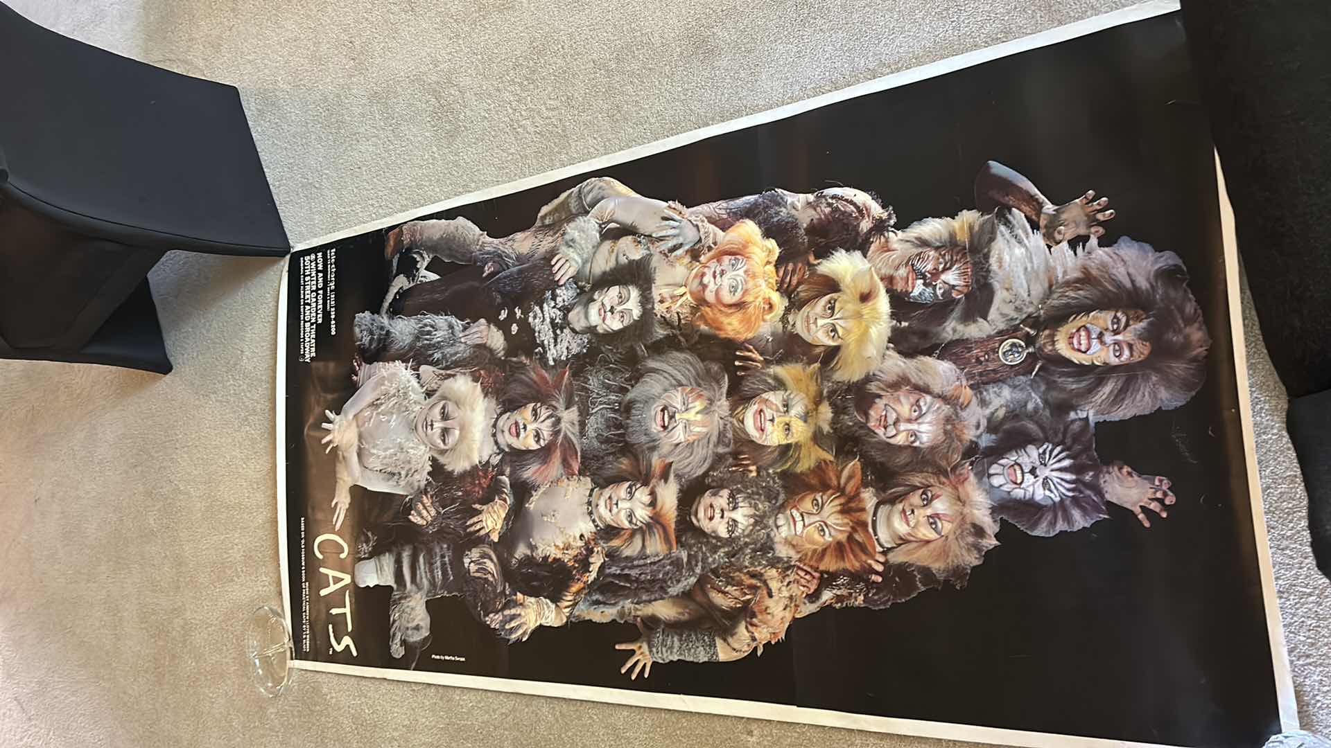 Photo 11 of CATS CANVAS POSTER 41” x 82.5”