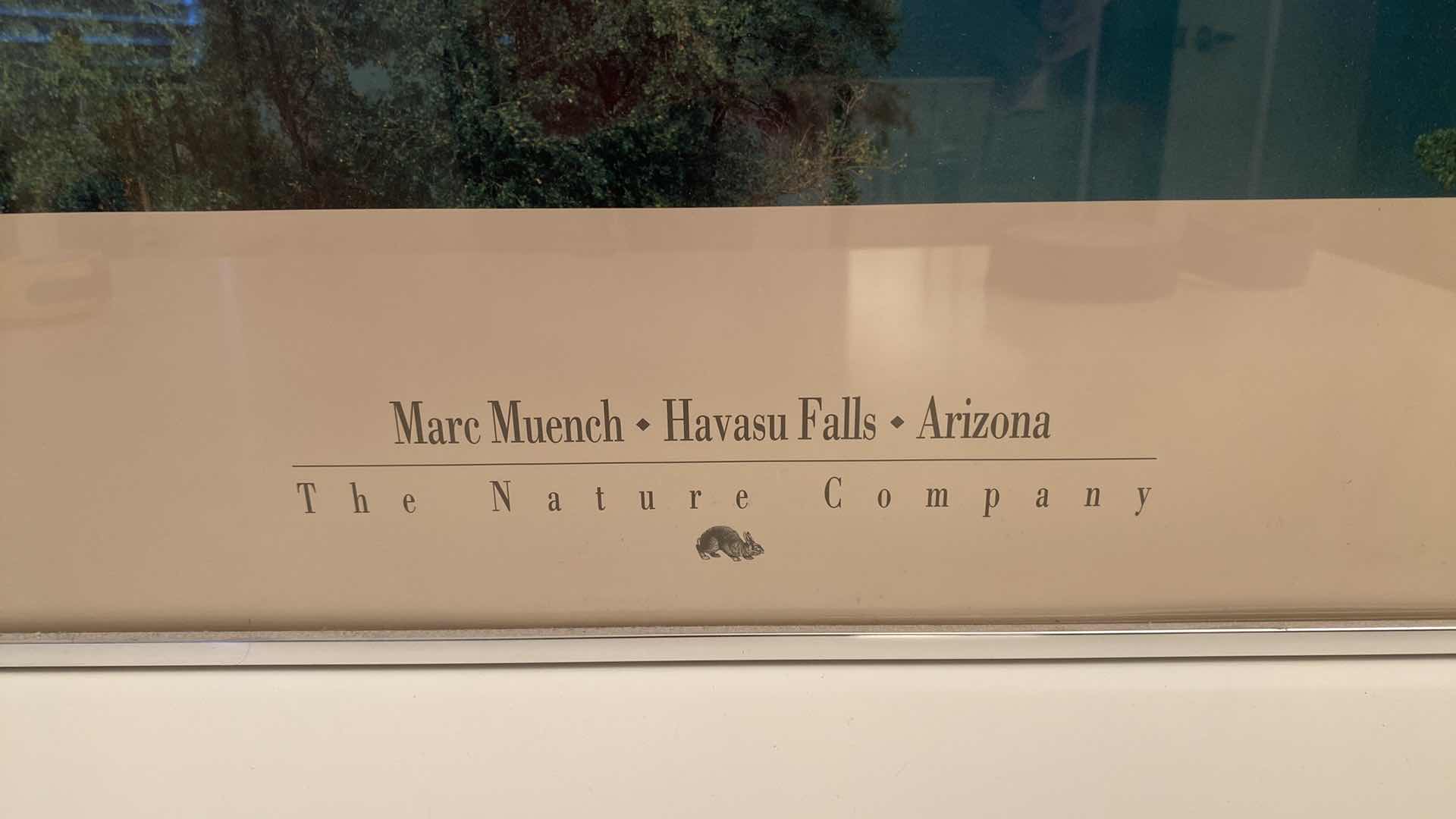 Photo 2 of METAL FRAMED HAVASU FALLS AZ ART 24” X 34”