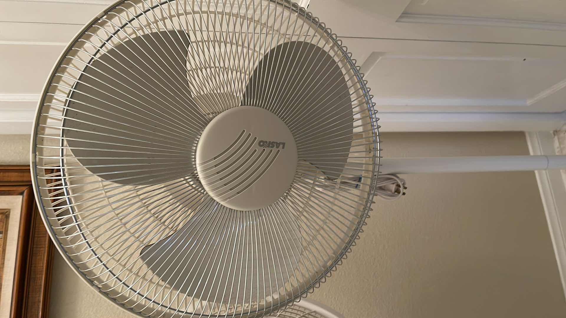 Photo 2 of 3-LASKO FANS