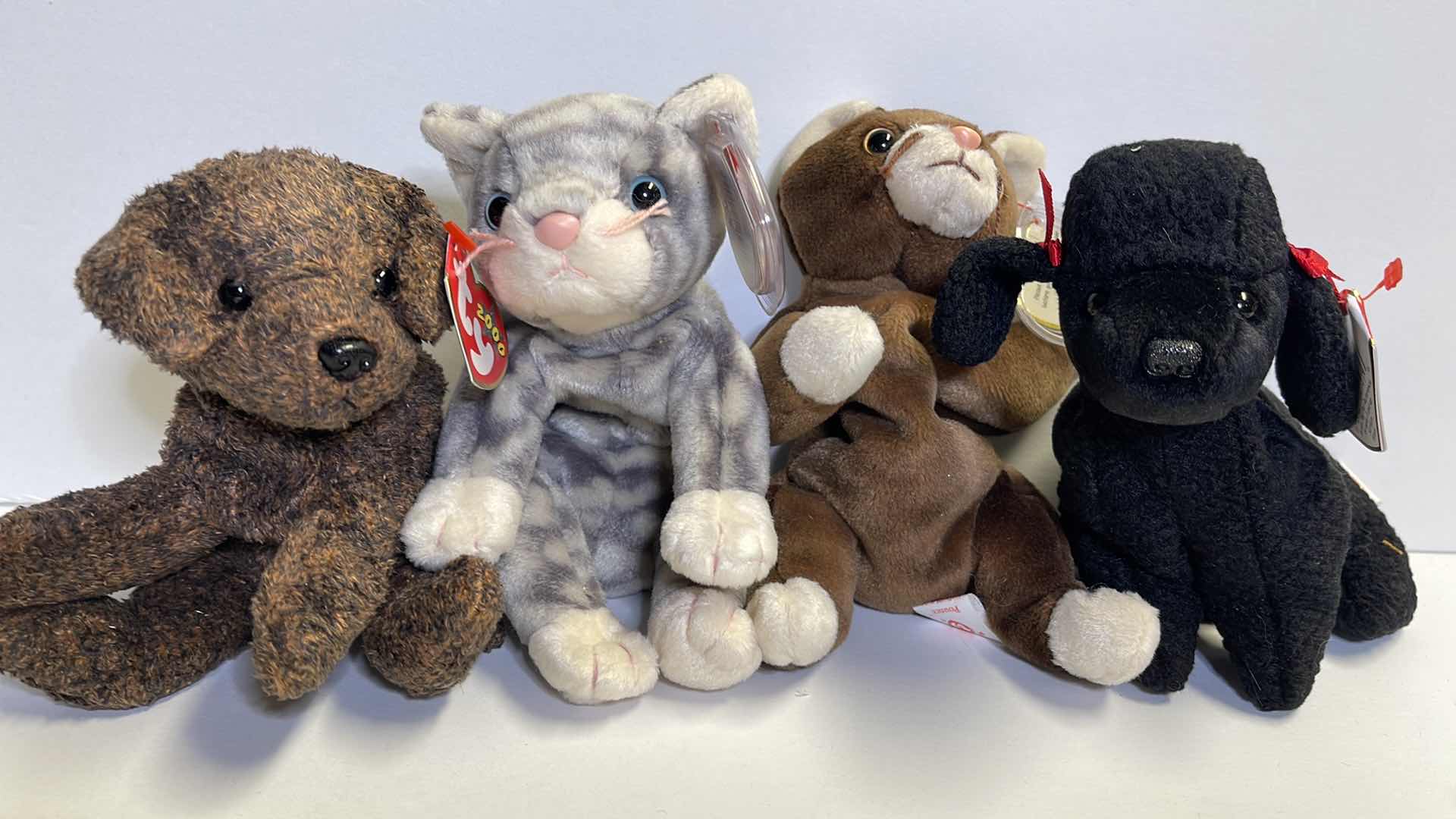 Photo 2 of TY BEANIE BABIES DOGS & CATS