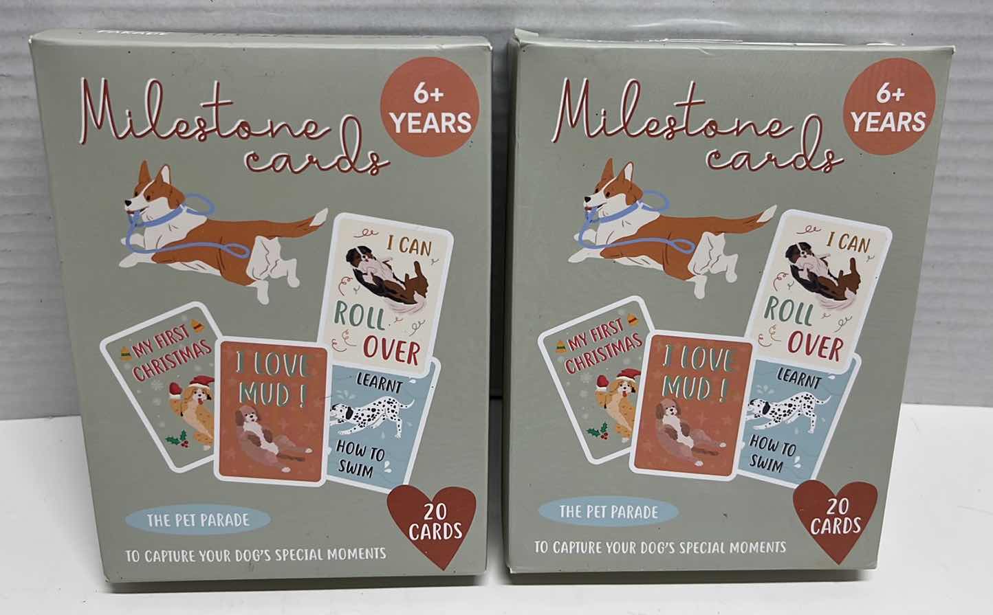 Photo 2 of NEW THE PET PARADE MILESTONE CARDS & MODERN EXPRESSIONS “HOME IS WHERE THE CAT IS” 2 PC KEYCHAIN (4)