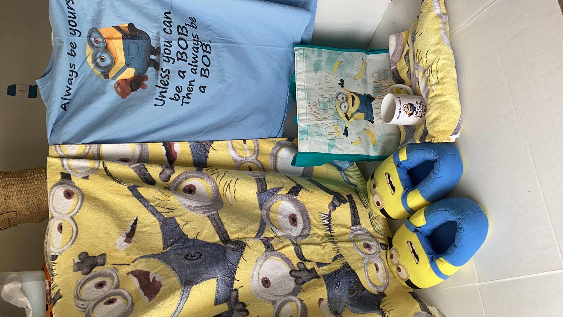 Photo 1 of MINIONS MEMORABILIA