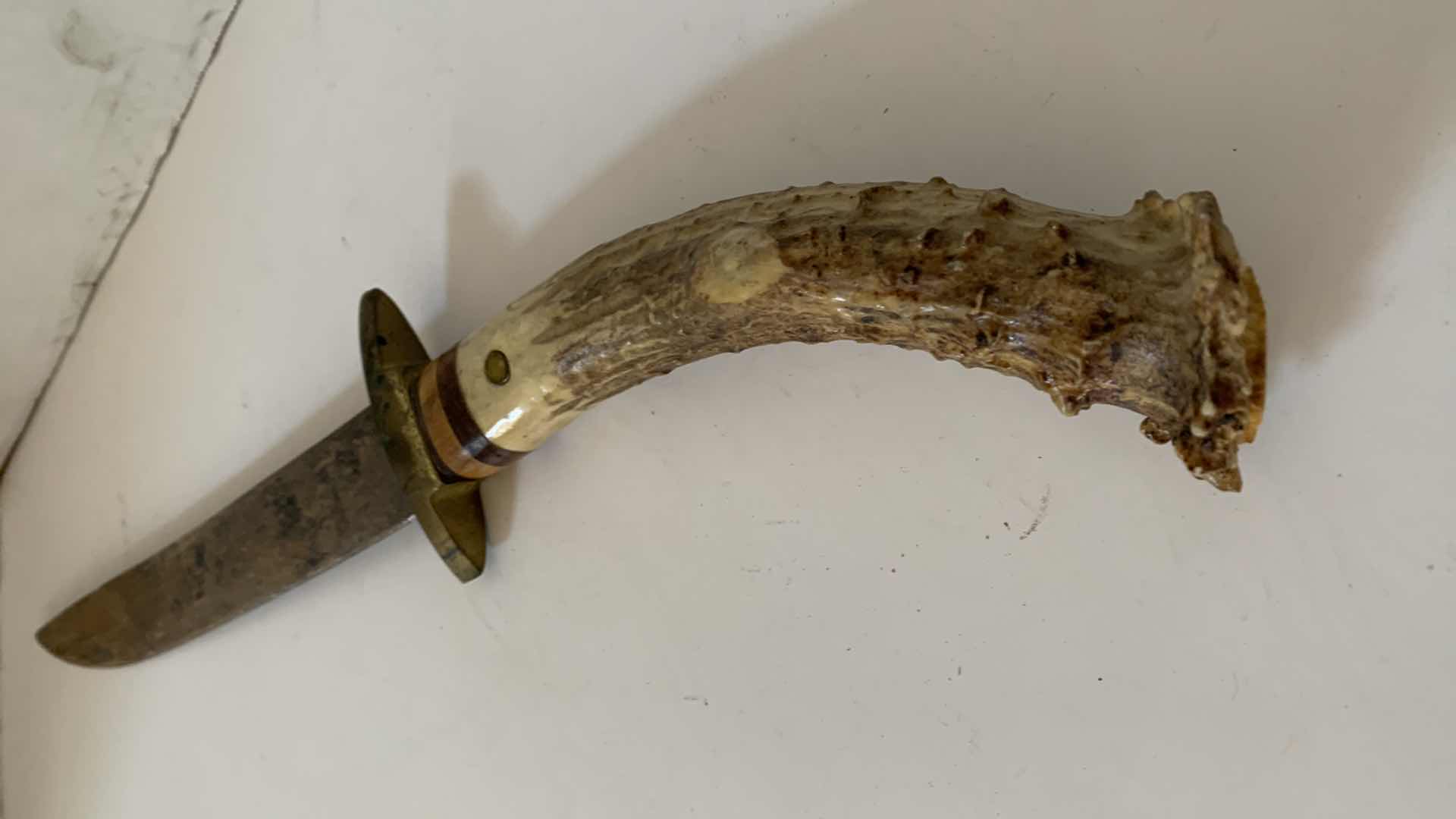 Photo 1 of BONE HANDLE KNIFE 18” LONG