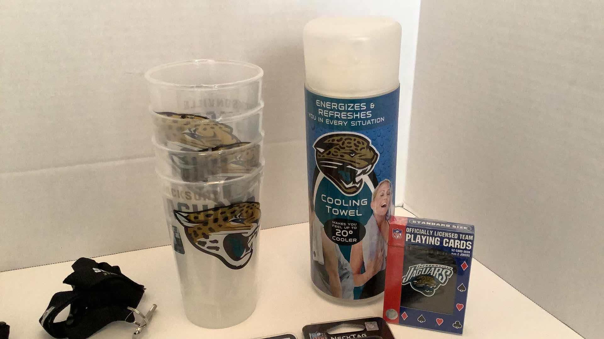 Photo 2 of NFL FAN PACK  JAGUARS