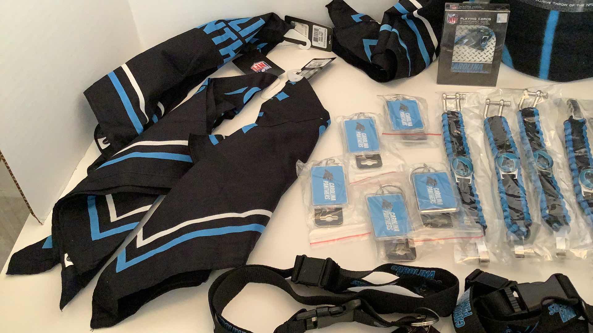 Photo 4 of NFL FAN PACK CAROLINA PANTHERS