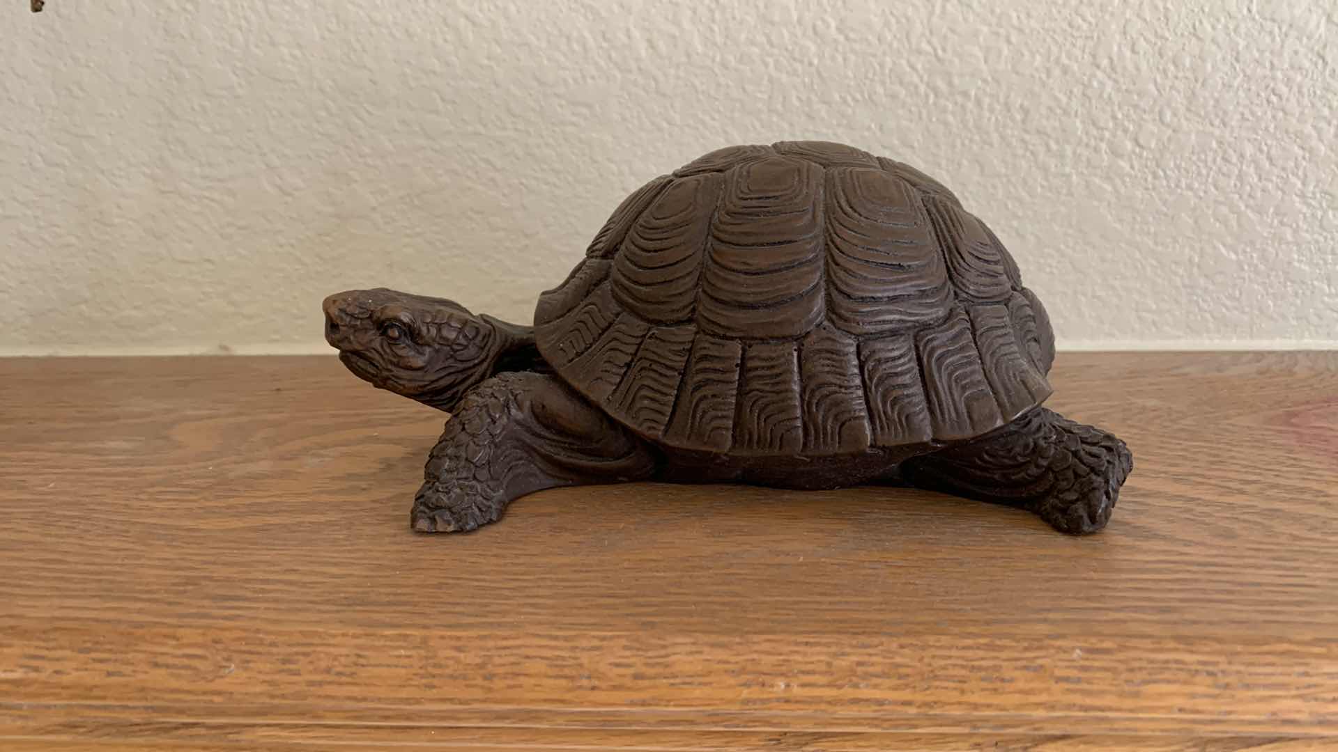 Photo 1 of LAND TURTLE SCULPTURE, 7” RESIN
,