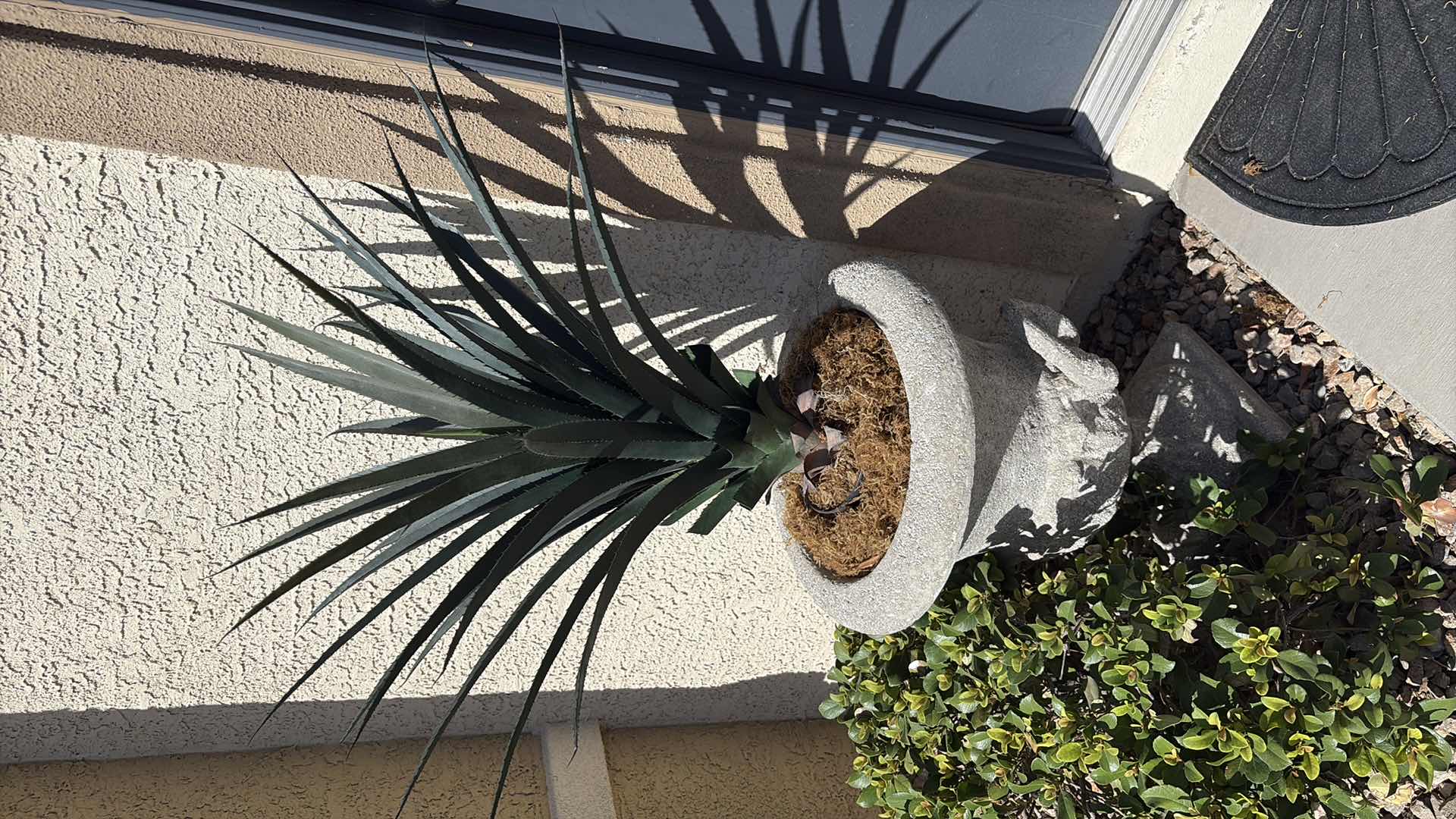 Photo 1 of OUTDOOR CONCRETE PLANTER 20” X 24” H
