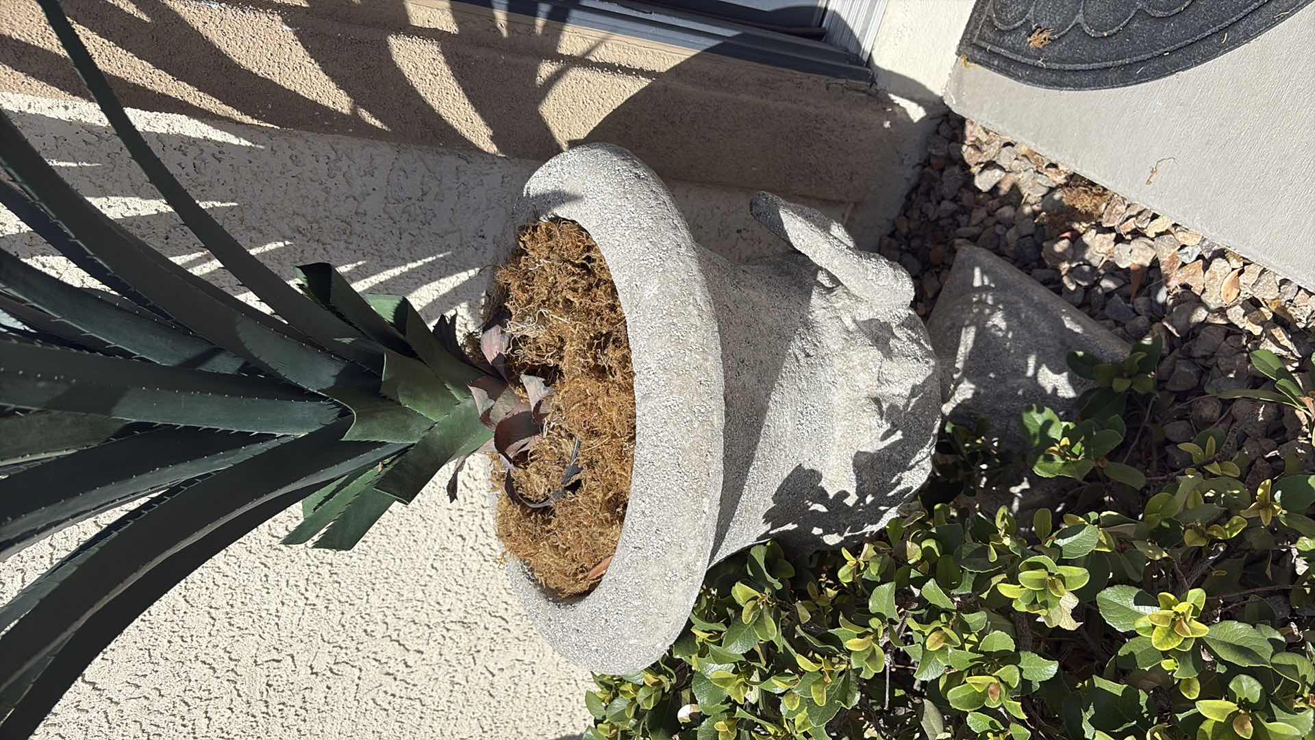 Photo 1 of OUTDOOR CONCRETE PLANTER 20” X 24” H